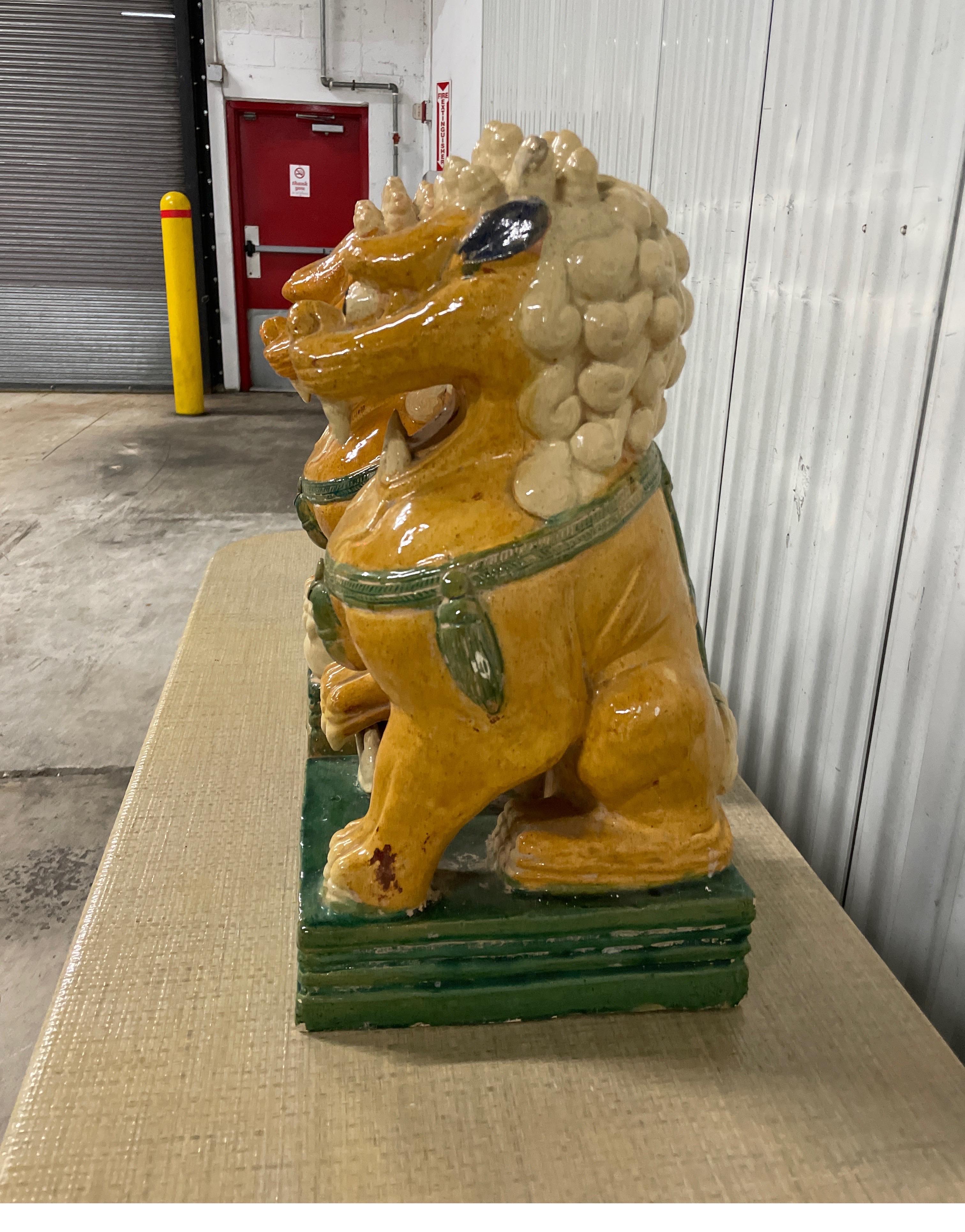 Large Pair of Multicolored Glazed Terra Cotta Foo Dogs In Good Condition For Sale In West Palm Beach, FL