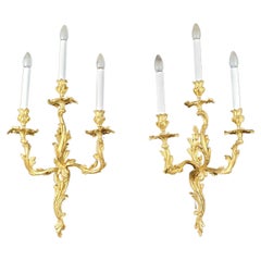 Large Pair Of Ormolu Louis XV Rocaille Sconces 