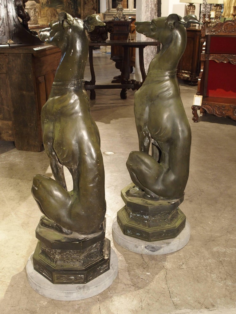 Large Pair of Painted Dog Statues on Stone Bases from France at 1stDibs