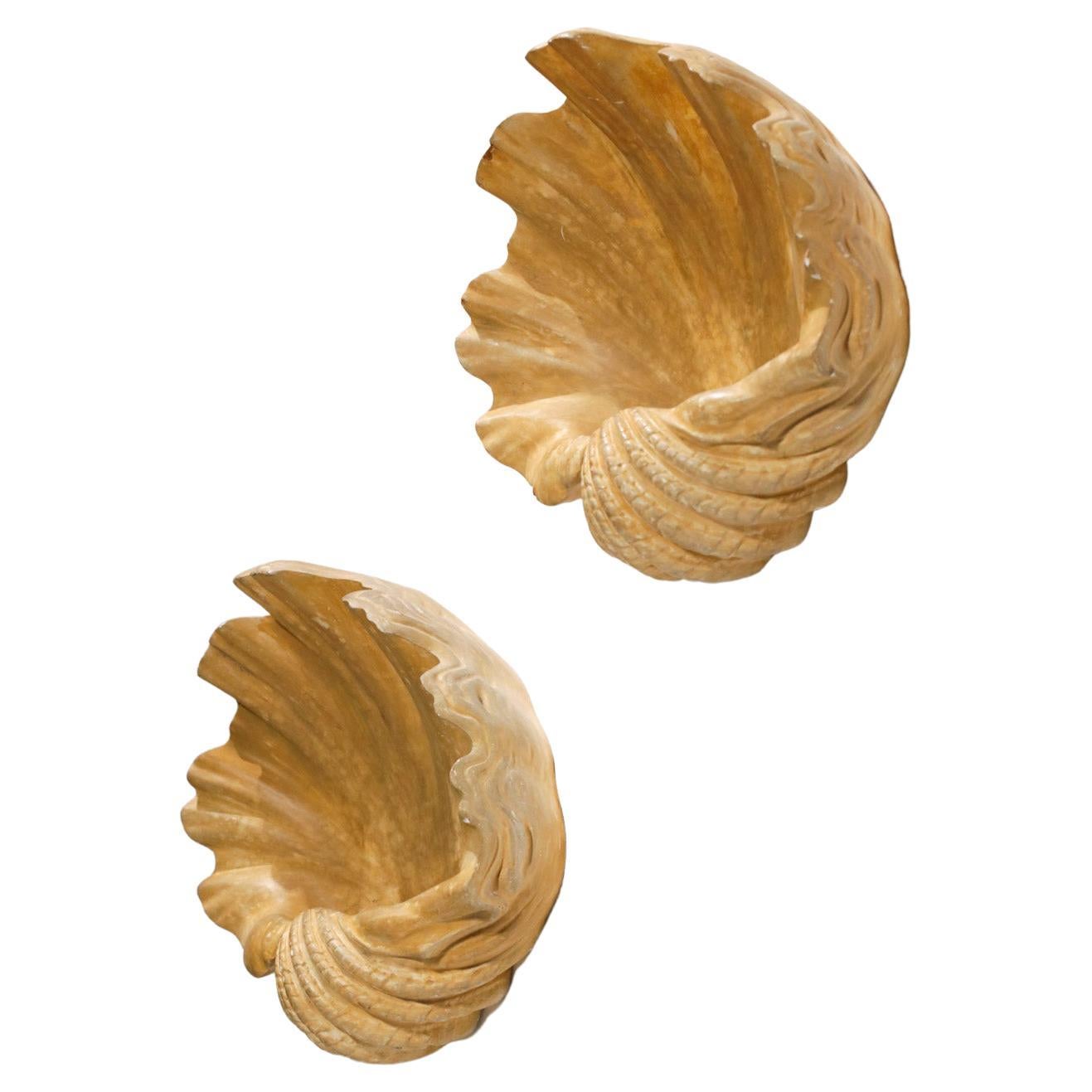 Imposing pair of French sconces in the shape of a shell attributed to Serge Roche dating from the 40s - 50s. Structure in plaster painted in a 