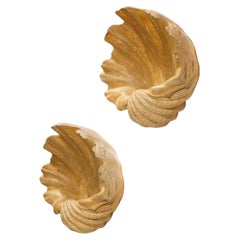 Large Pair of Shells Appliques Attributed to Serge Roche Plaster 40's Art Deco