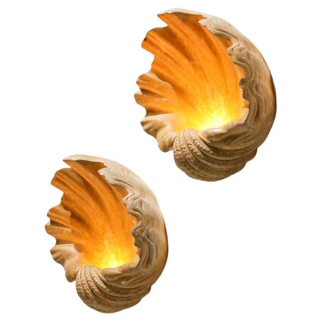 2 Pairs of Large French Mid-Century Modern Plaster Shell Sconces by ...