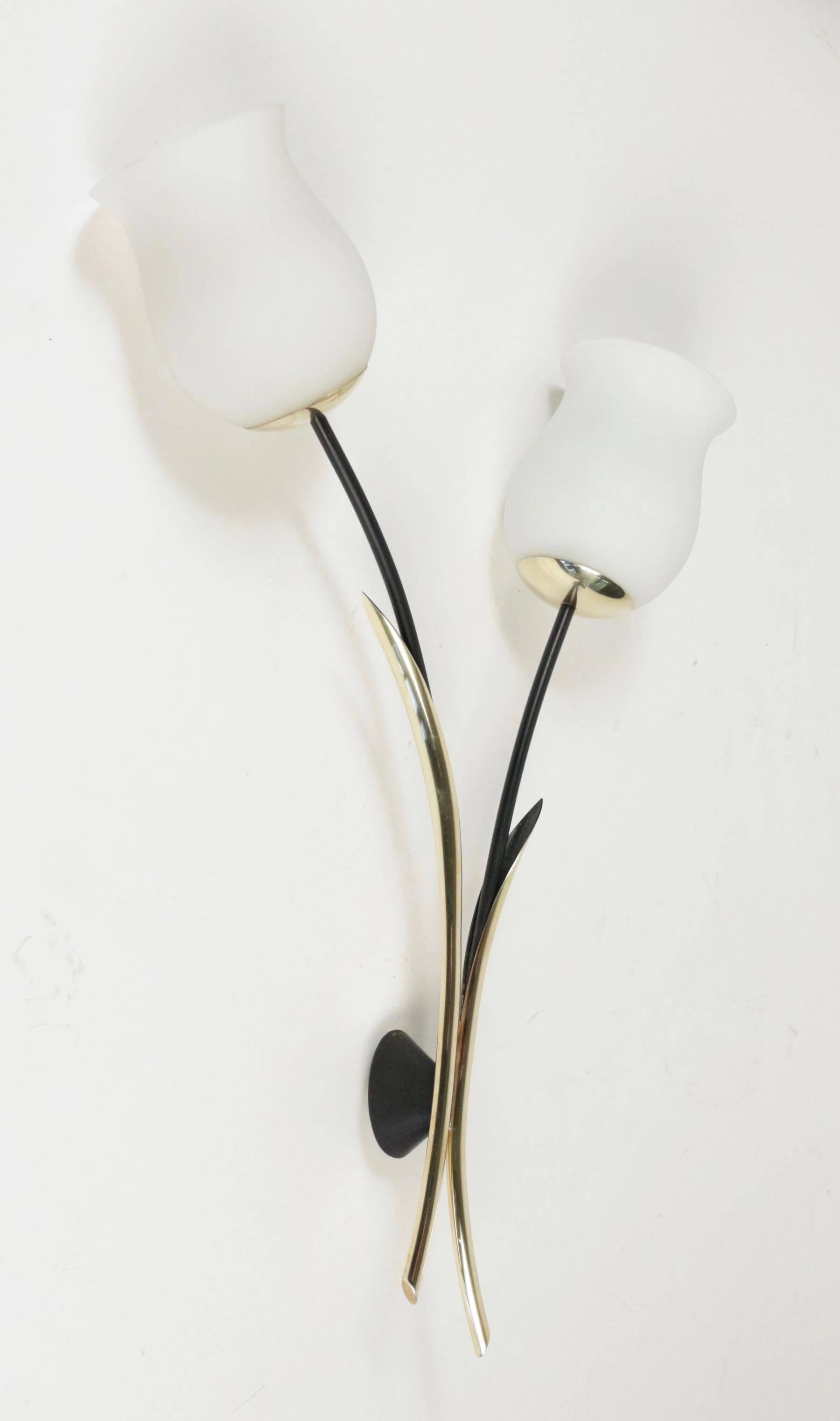 Brass Large Pair of 'Tulip' Sconce, Arlus, 1950