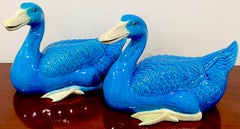 Large Pair of Turquoise Chinese Export Figures of Seated Ducks