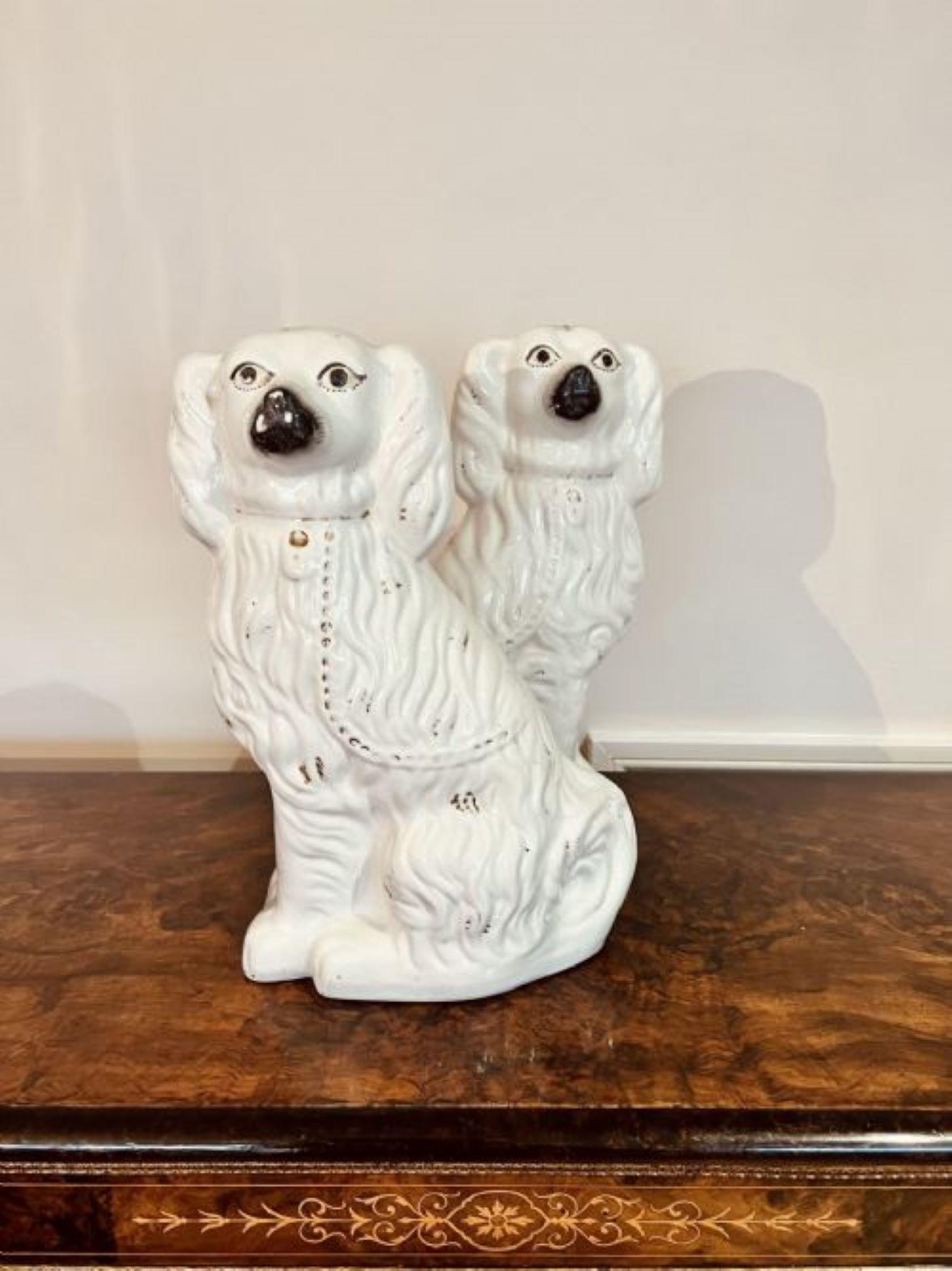 Large pair of Victorian seated Staffordshire spaniel dogs, having matching white coats with collars and padlocks.