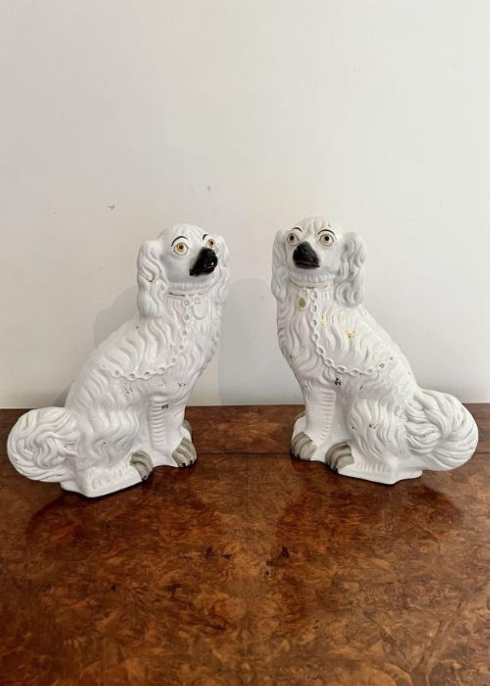 Large pair of Victorian seated Staffordshire spaniel dogs In Good Condition For Sale In Ipswich, GB