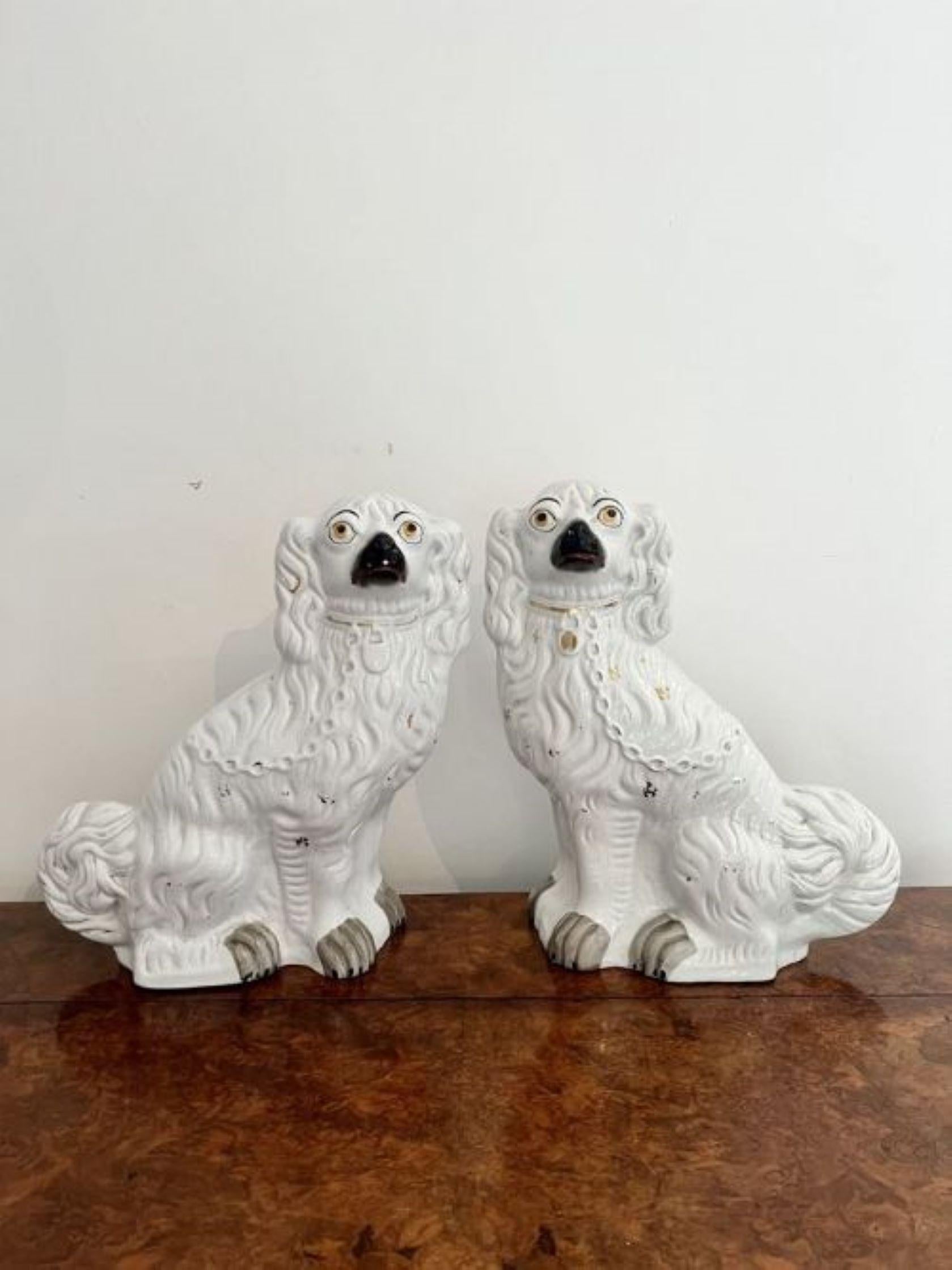 19th Century Large pair of Victorian seated Staffordshire spaniel dogs For Sale