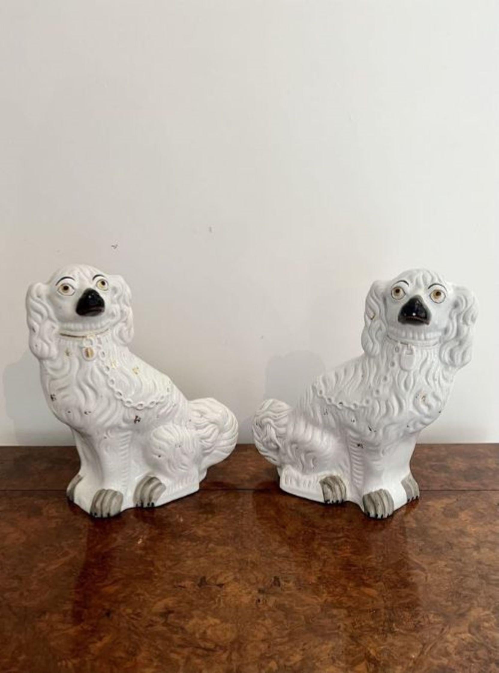 Ceramic Large pair of Victorian seated Staffordshire spaniel dogs For Sale
