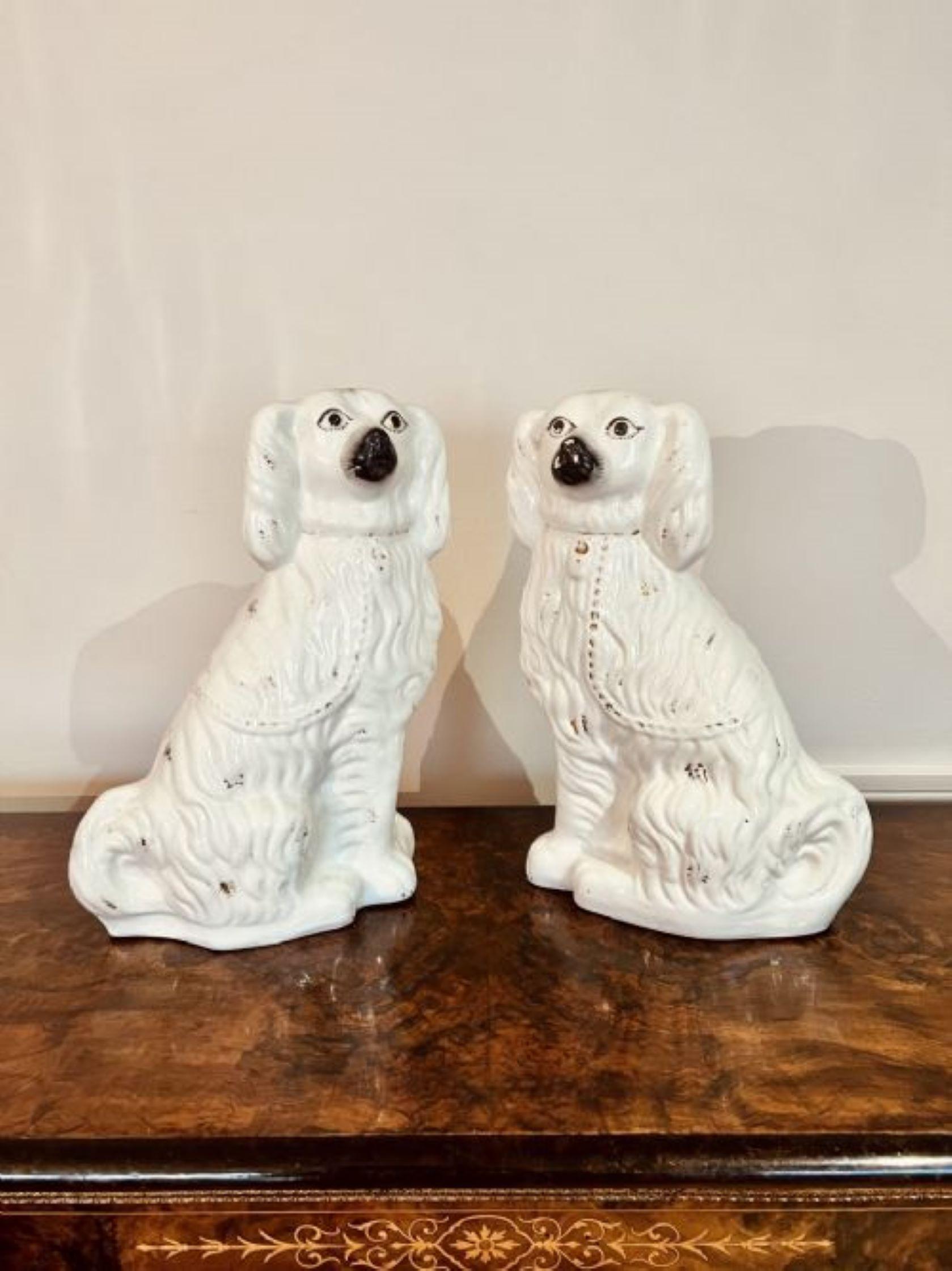 Ceramic Large pair of Victorian seated Staffordshire spaniel dogs  For Sale