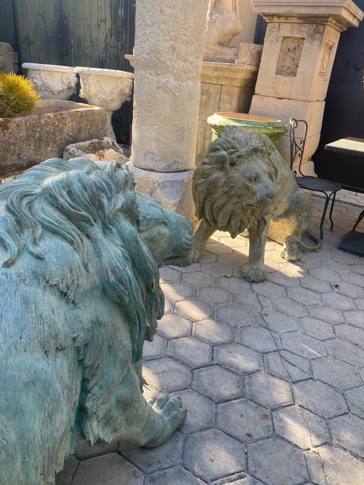 Large Pair Patinated Life Size Bronze Statues Sculpture of Regal Big Cats Lions For Sale 6