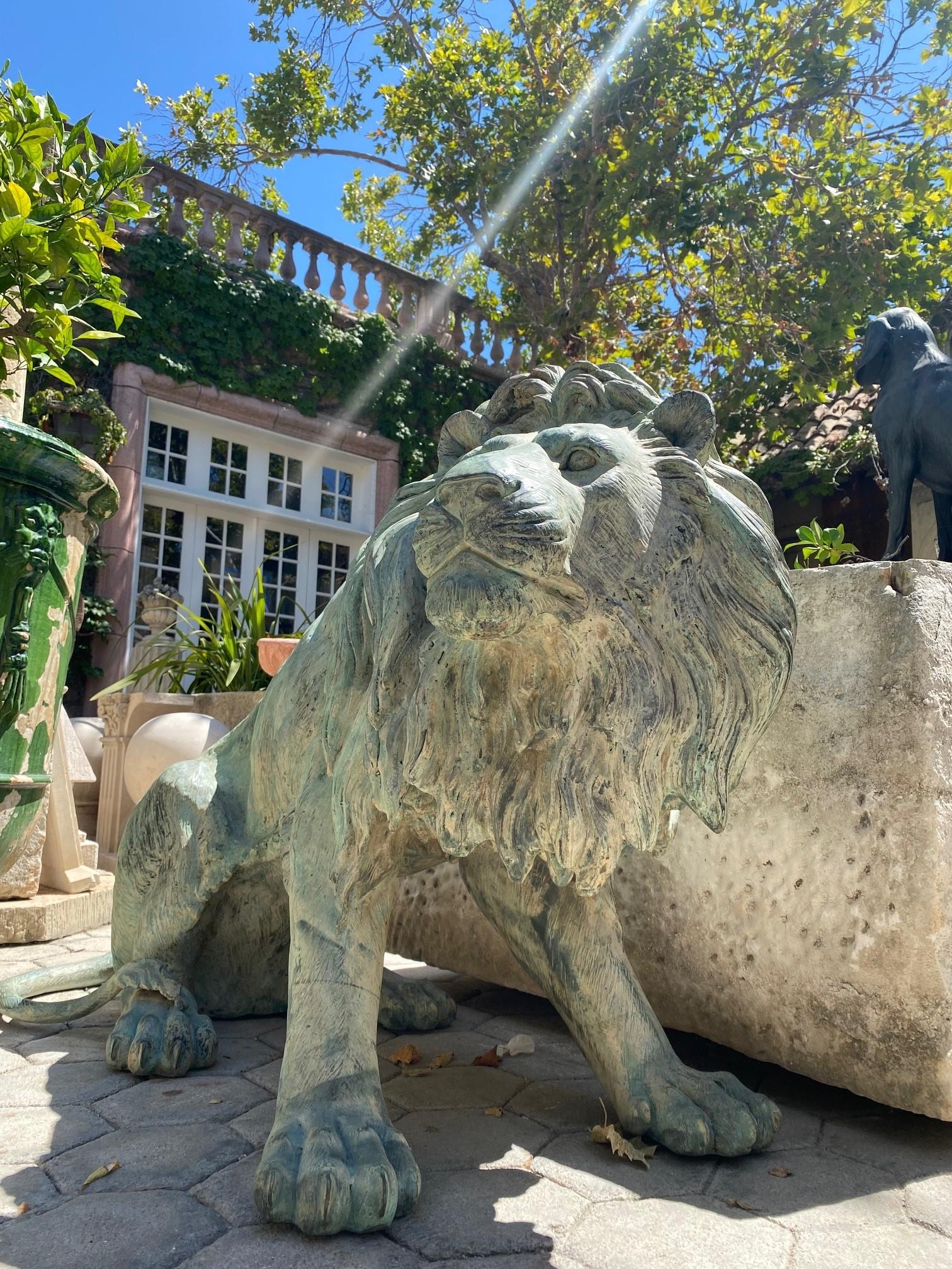 Grande paire de statues en bronze patiné grandeur nature Sculpture de grands félins régaliens Lions en vente 7