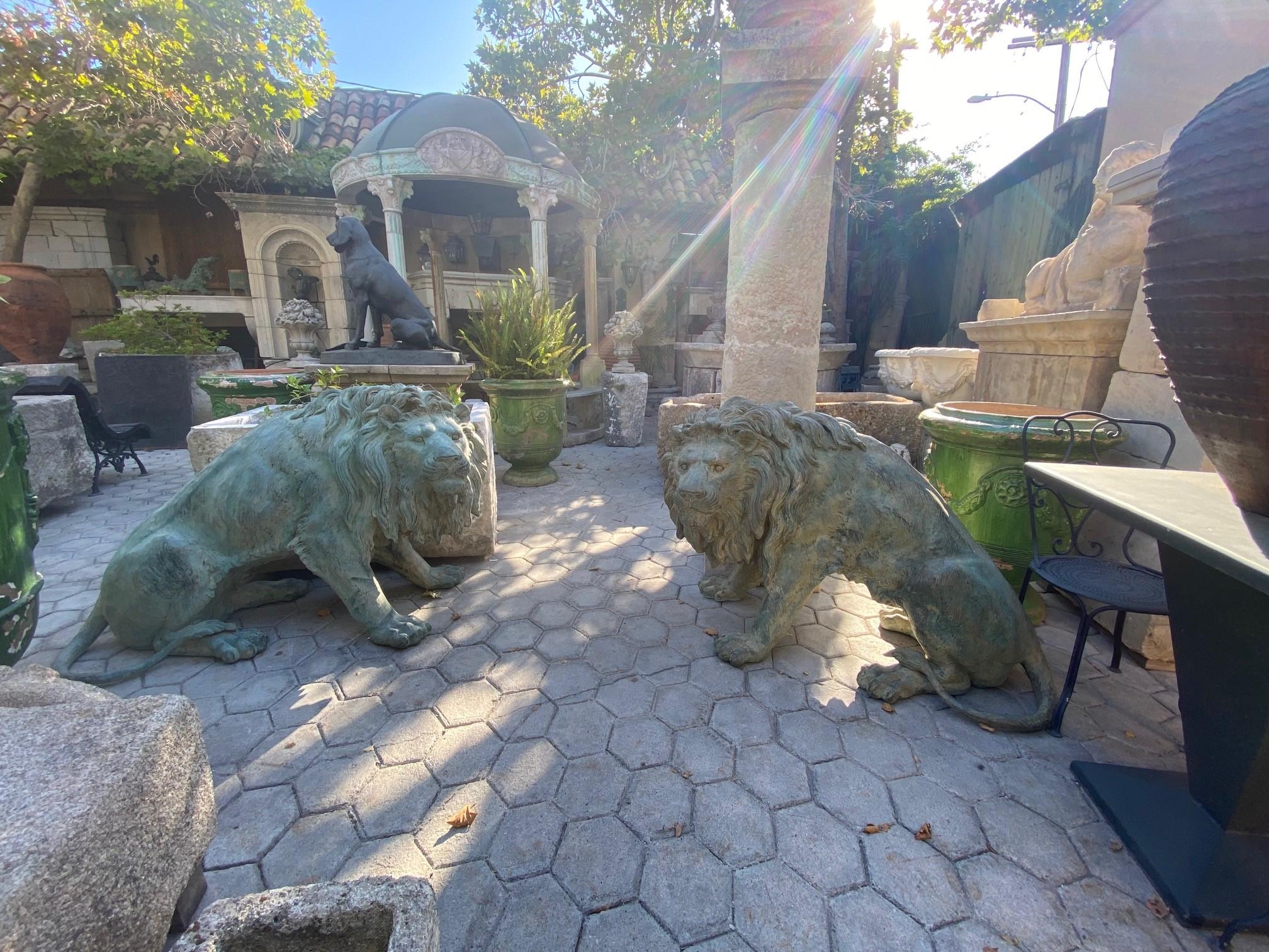 Large pair patinated life size bronze statues sculpture of Regal Big Cats Lions. Exceptional detailed high quality Large pair of Patinated bronze statues of Seated lions, outstanding workmanship with fine attention to details and rich manes.