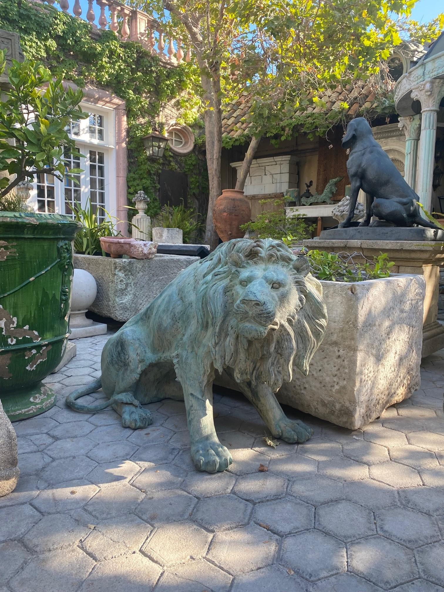 Français Grande paire de statues en bronze patiné grandeur nature Sculpture de grands félins régaliens Lions en vente
