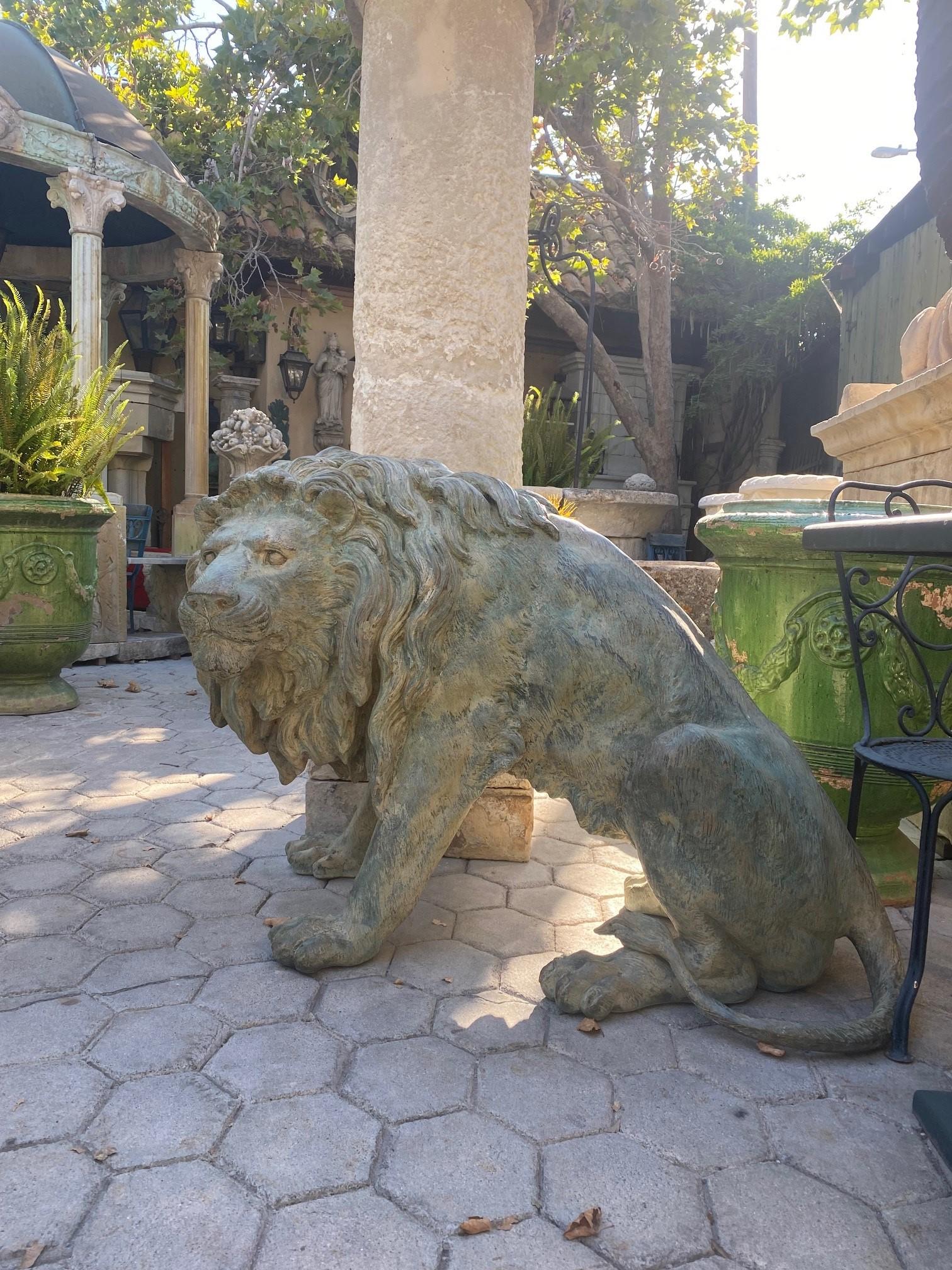 French Large Pair Patinated Life Size Bronze Statues Sculpture of Regal Big Cats Lions For Sale