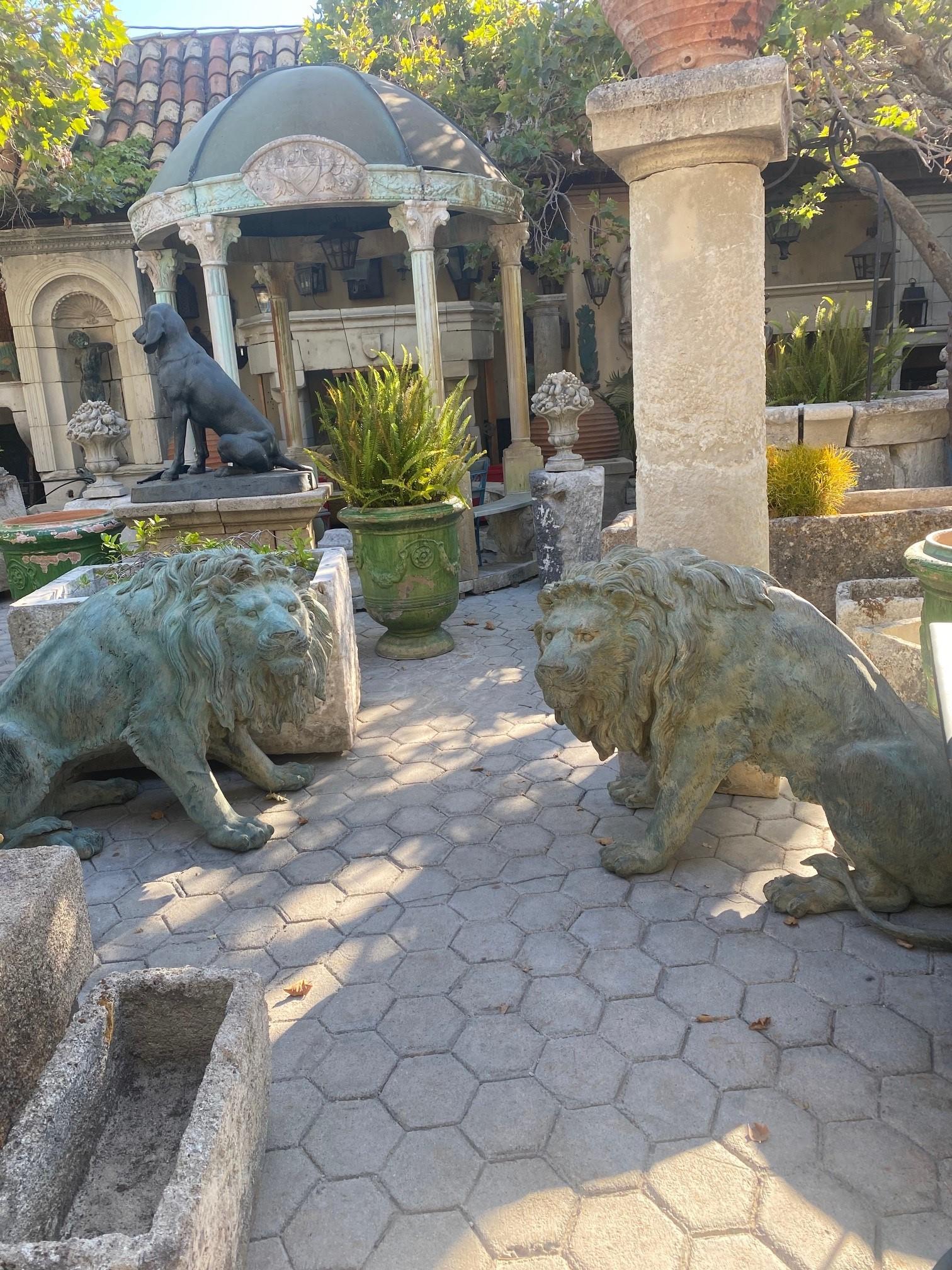 20ième siècle Grande paire de statues en bronze patiné grandeur nature Sculpture de grands félins régaliens Lions en vente