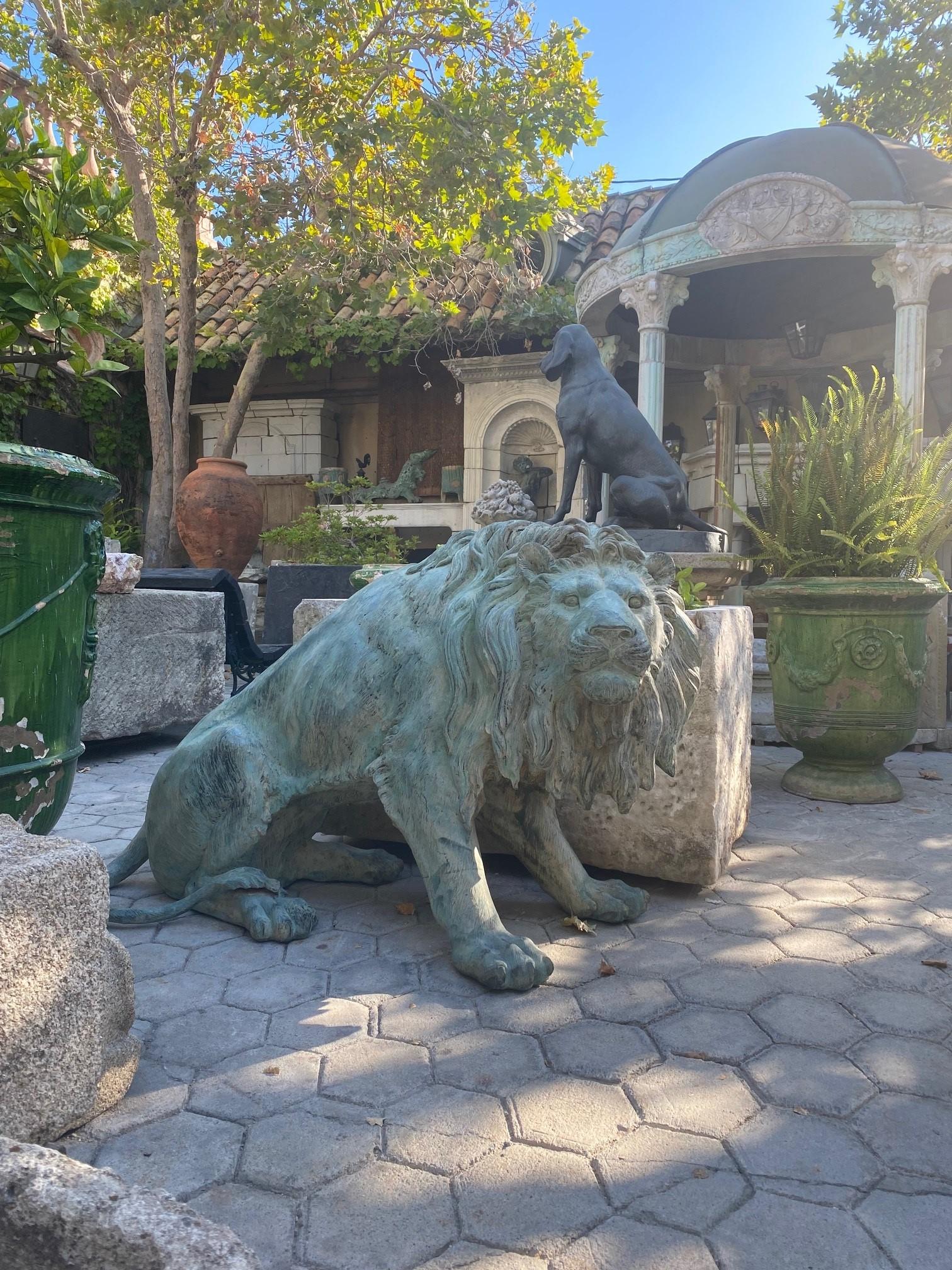 Large Pair Patinated Life Size Bronze Statues Sculpture of Regal Big Cats Lions For Sale 1