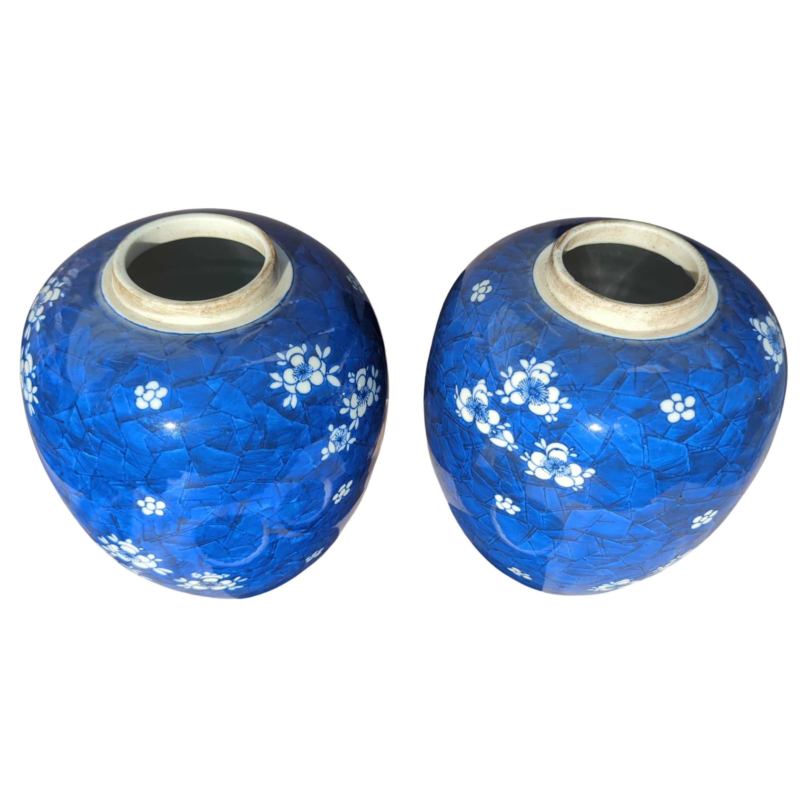 Grande paire de jarres chinoises couvertes d'aubépine bleue et blanche de 11 pouces 20 c en vente 2