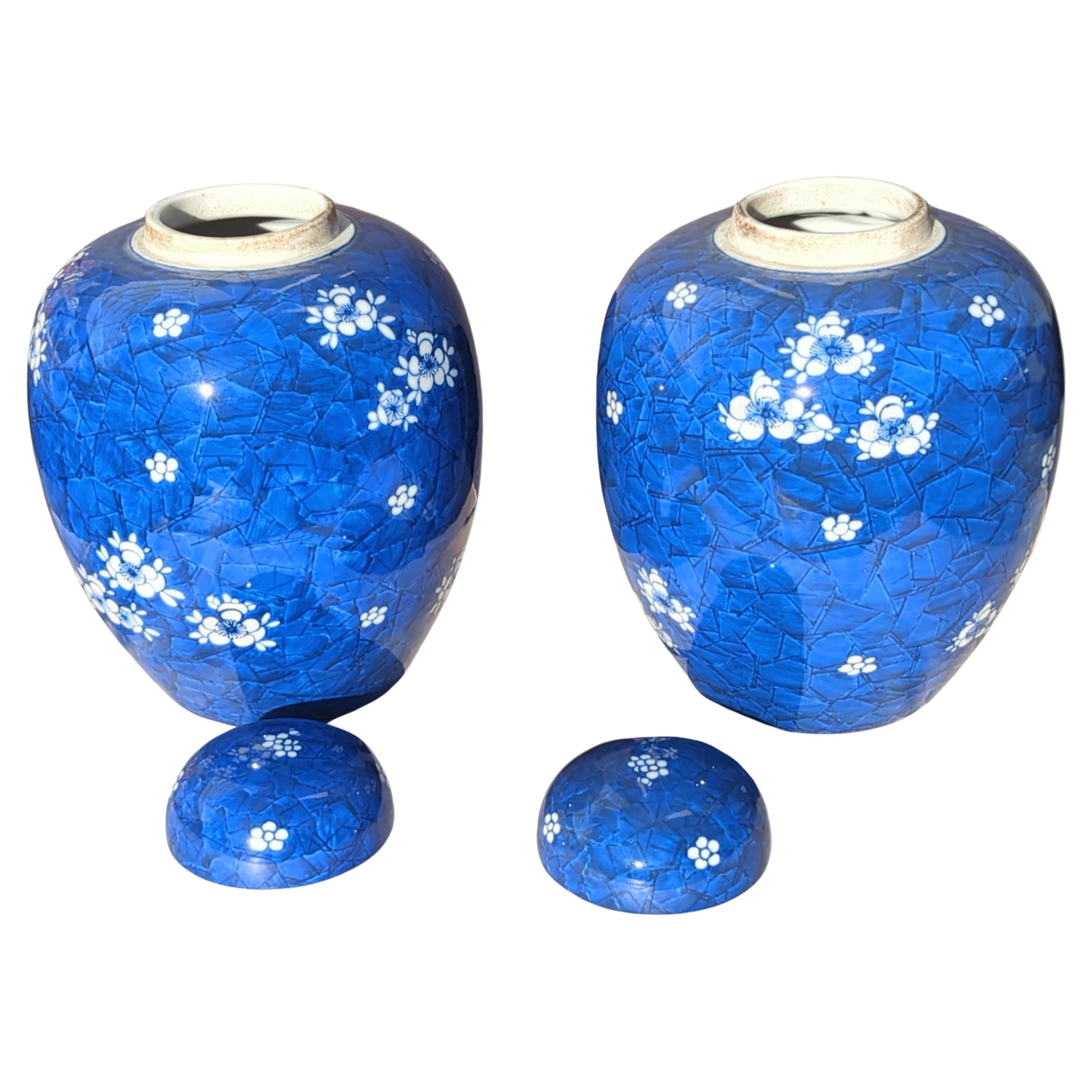 Exportation chinoise Grande paire de jarres chinoises couvertes d'aubépine bleue et blanche de 11 pouces 20 c en vente