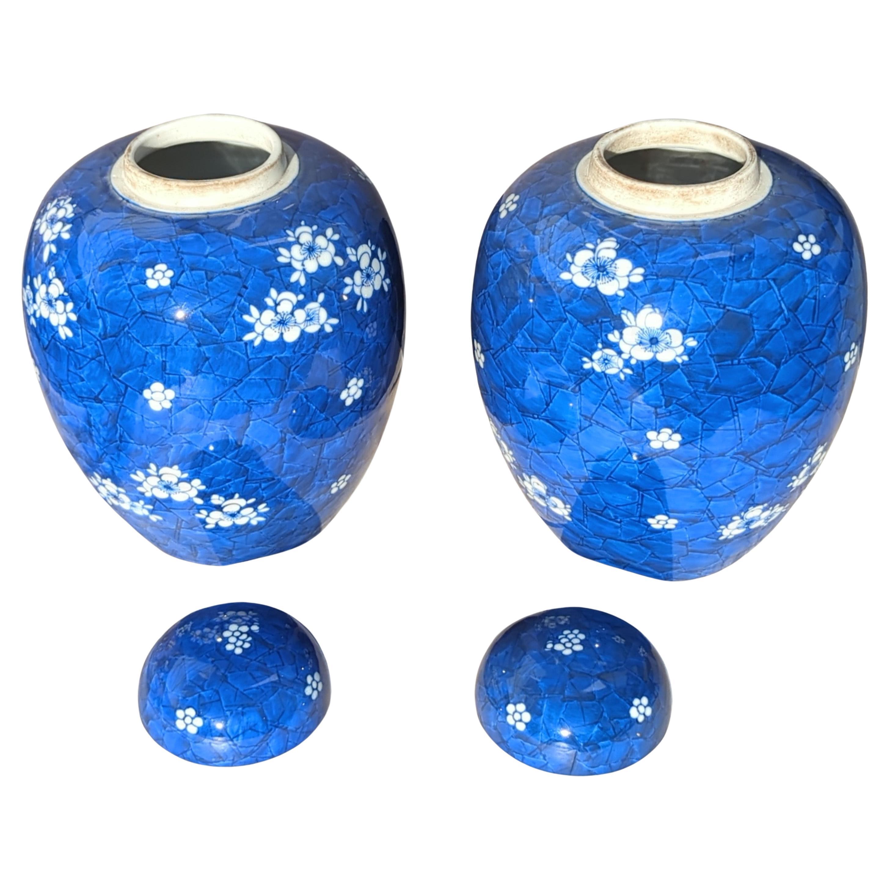 Chinois Grande paire de jarres chinoises couvertes d'aubépine bleue et blanche de 11 pouces 20 c en vente