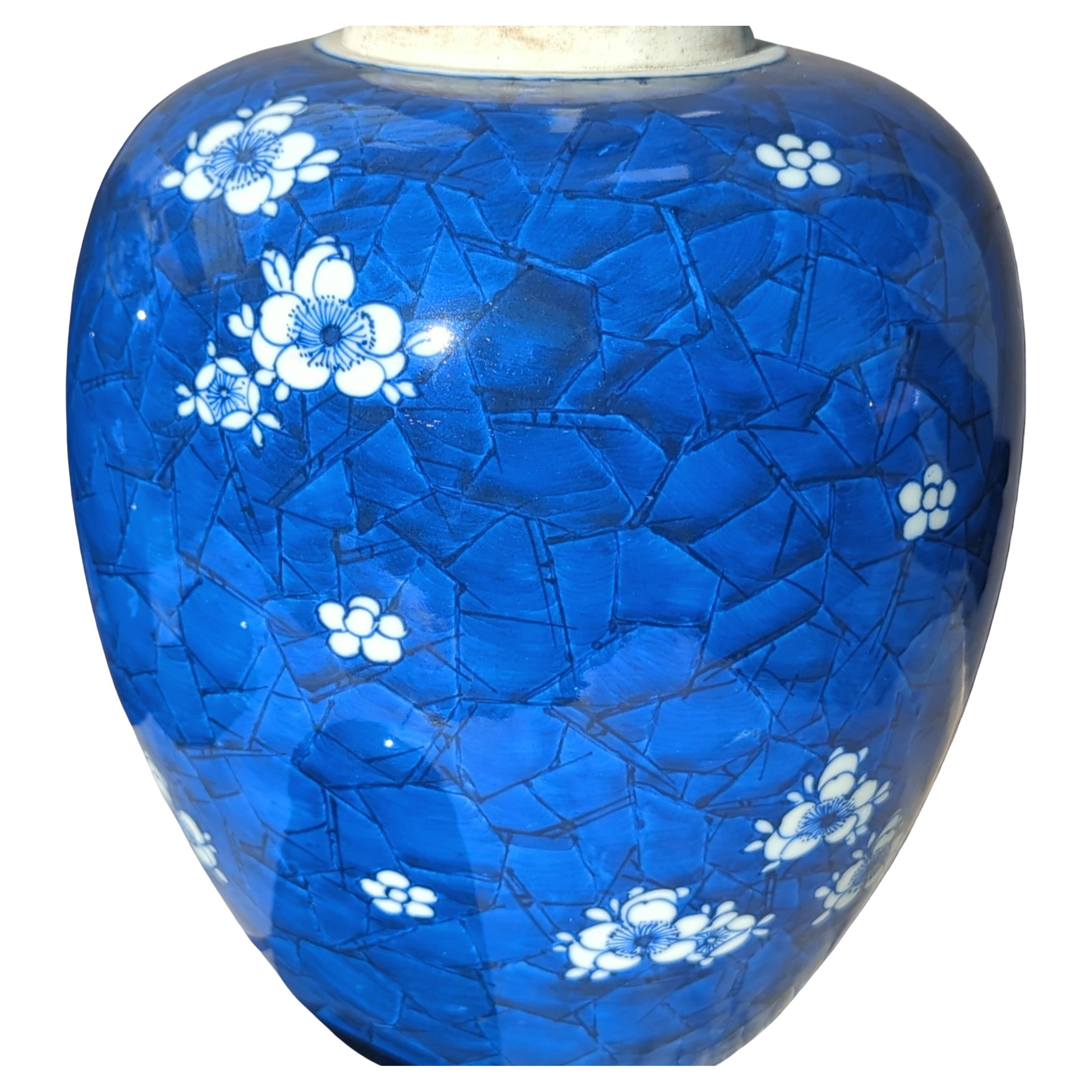 Grande paire de jarres chinoises couvertes d'aubépine bleue et blanche de 11 pouces 20 c Bon état - En vente à Richmond, CA