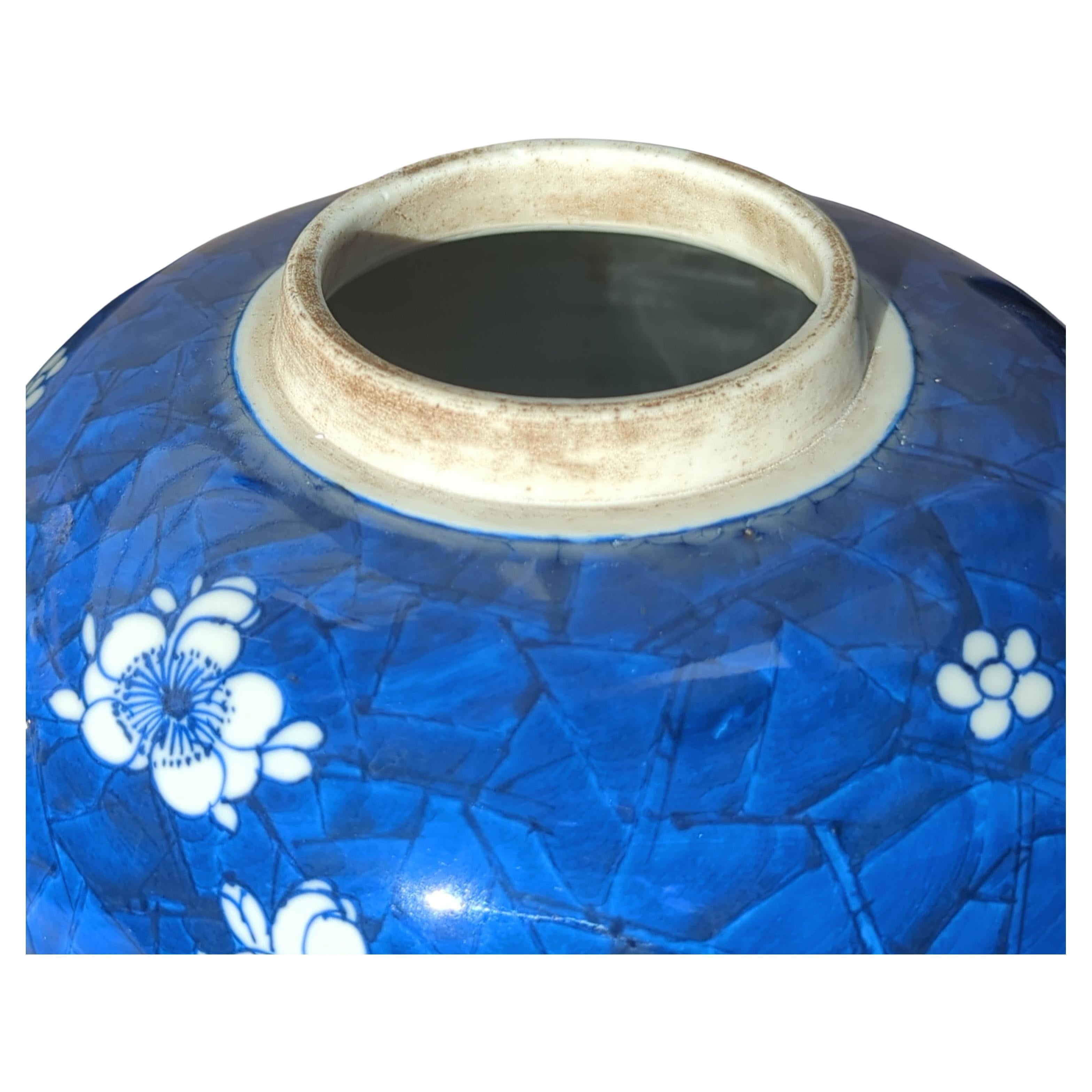 20ième siècle Grande paire de jarres chinoises couvertes d'aubépine bleue et blanche de 11 pouces 20 c en vente