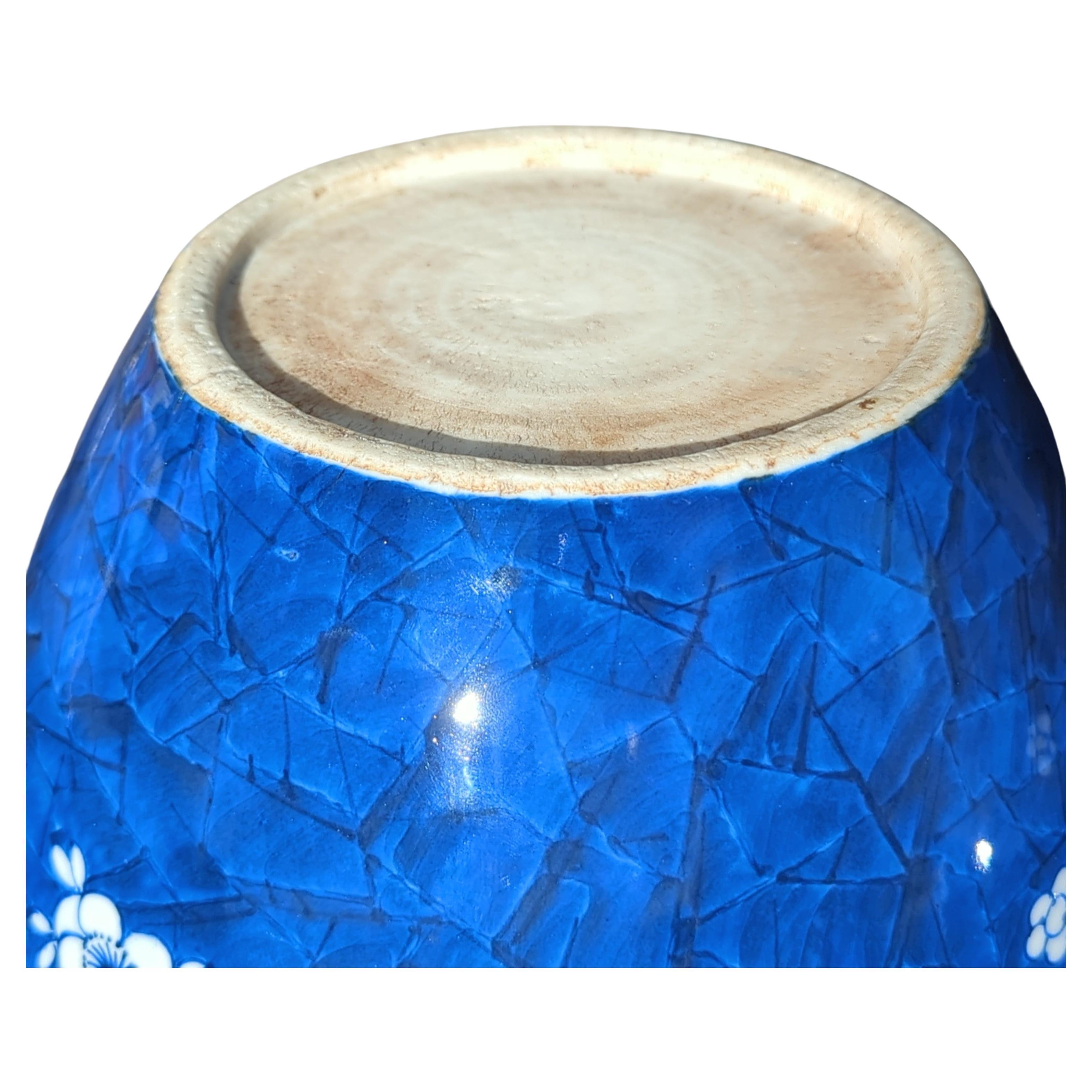 Grande paire de jarres chinoises couvertes d'aubépine bleue et blanche de 11 pouces 20 c en vente 1