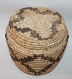 Large Papagao Indian Lidded Basket