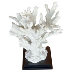 Large Parisian White Coral