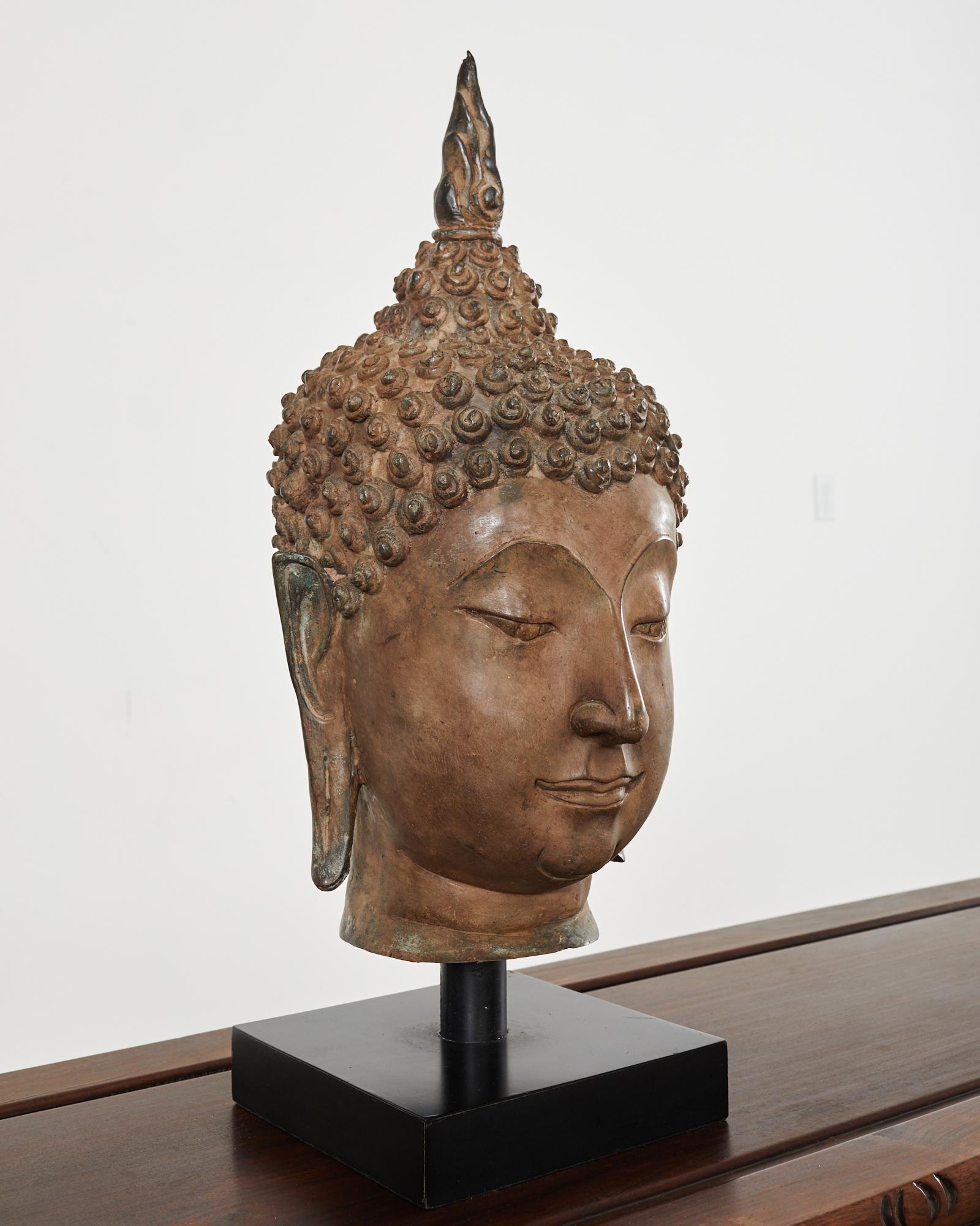 buddha snails on head