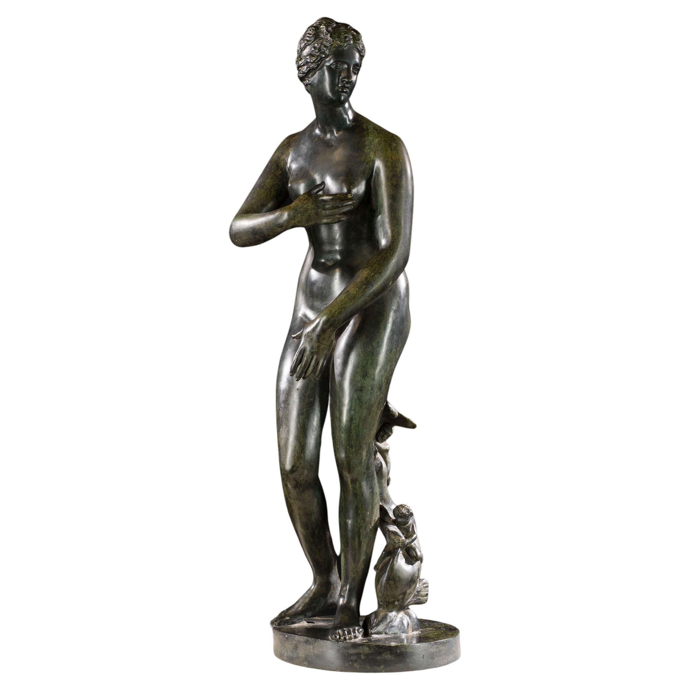 Large Patinated Bronze Venus De Medici For Sale