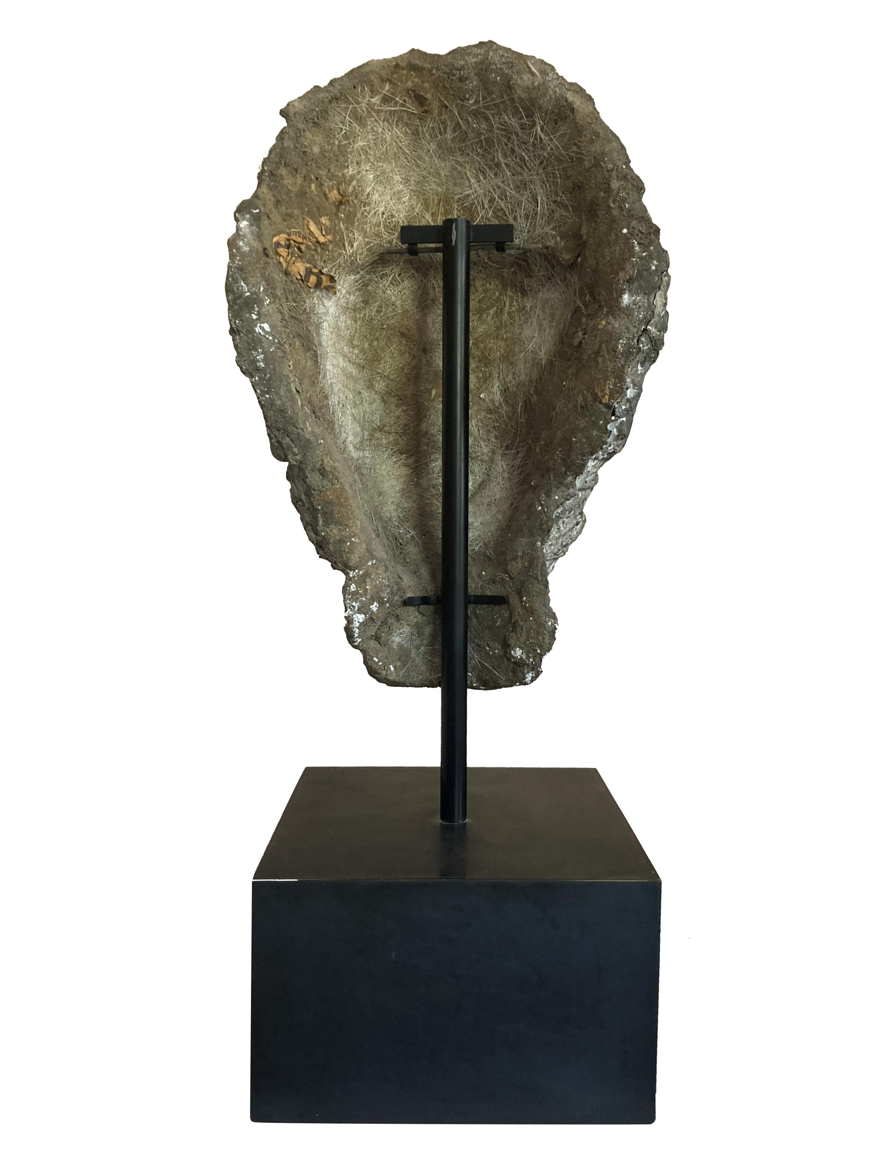 Mid-20th Century Large Patinated Head Of Zeus For Sale