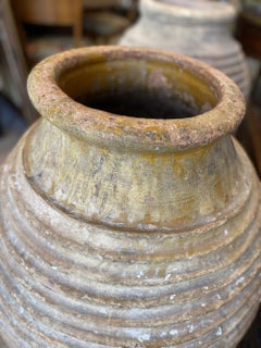 Grands pots à huile d'olive du Péloponnèse:: planteurs:: début du 19e siècle
