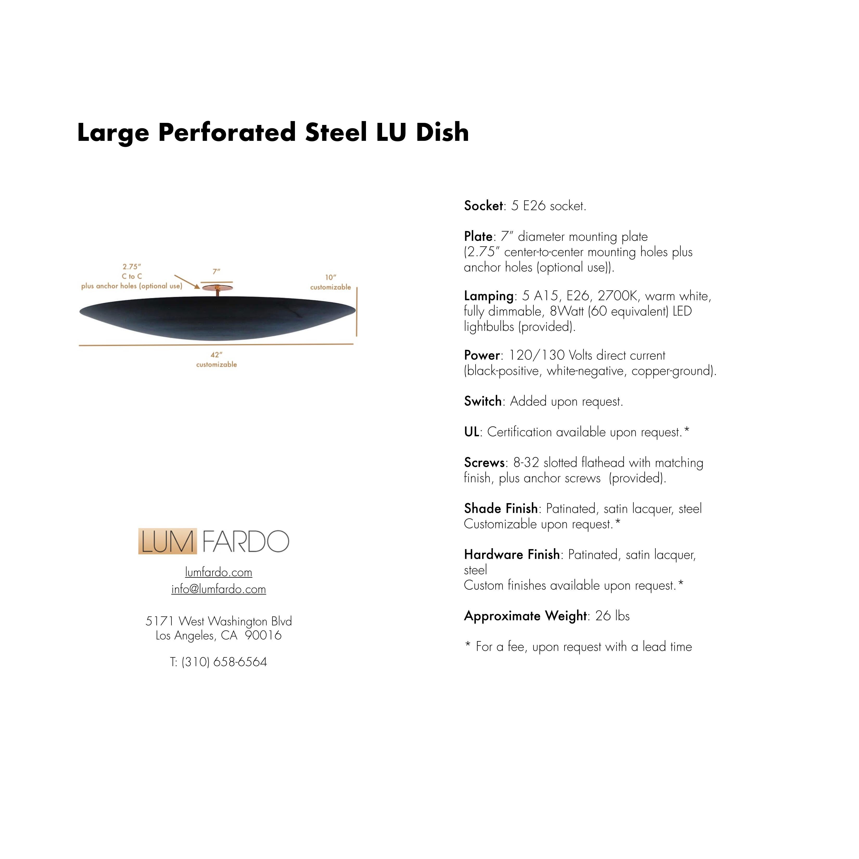 Large Perforated Steel LU Dish For Sale 4