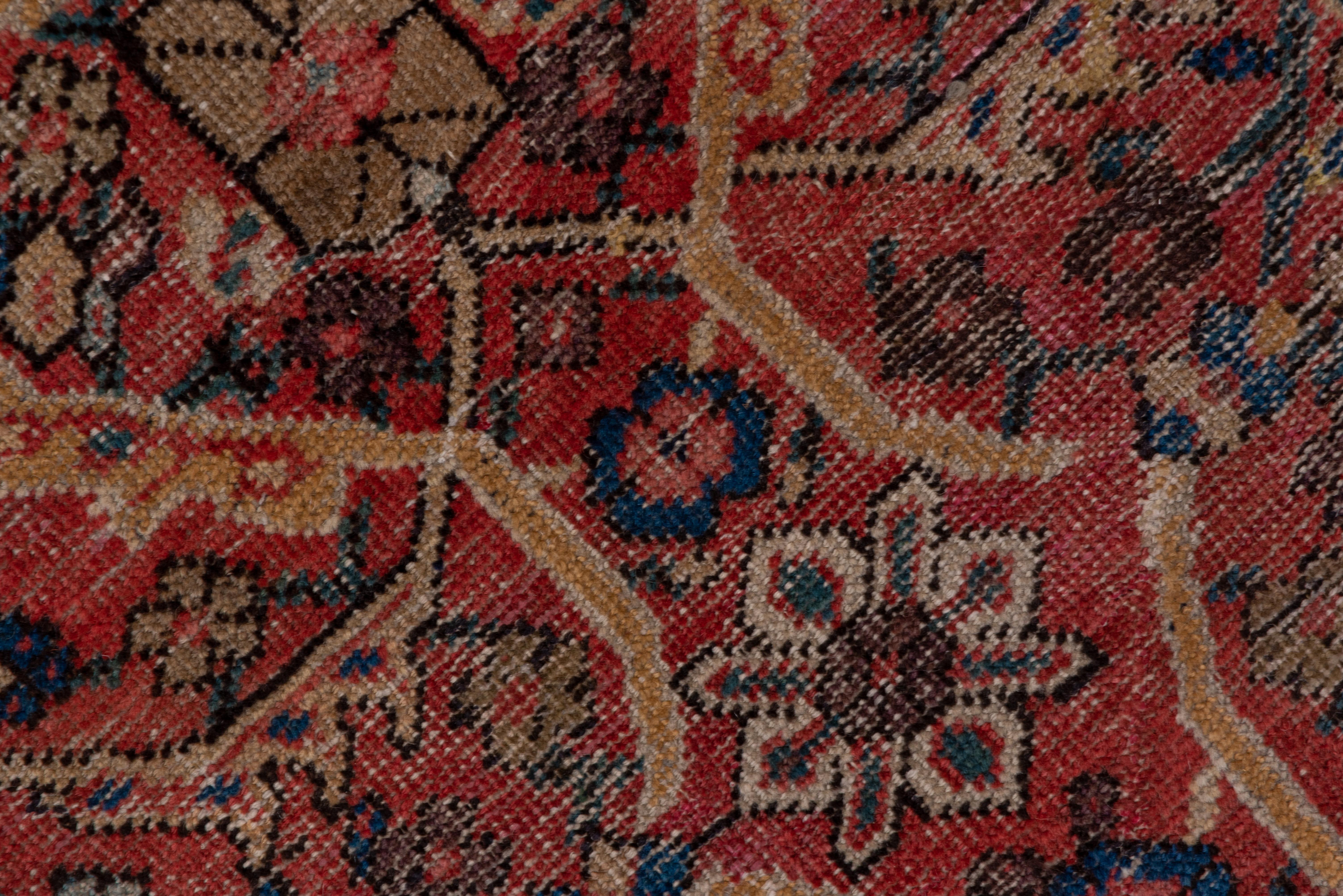 The coral red field of this allover pattern west Persian rustic carpet shows a 