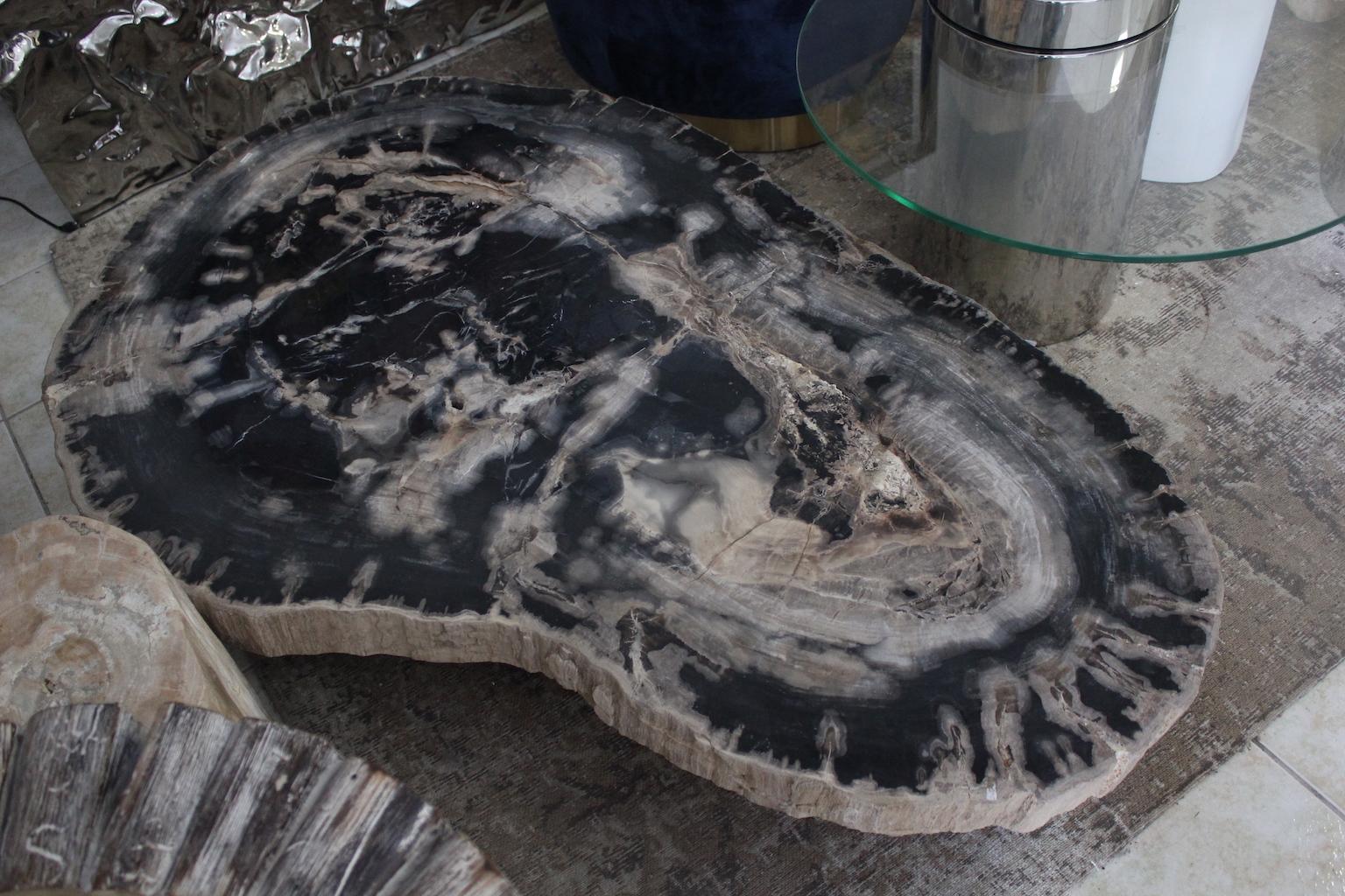 Large Petrified Wood Coffee Table For Sale 3