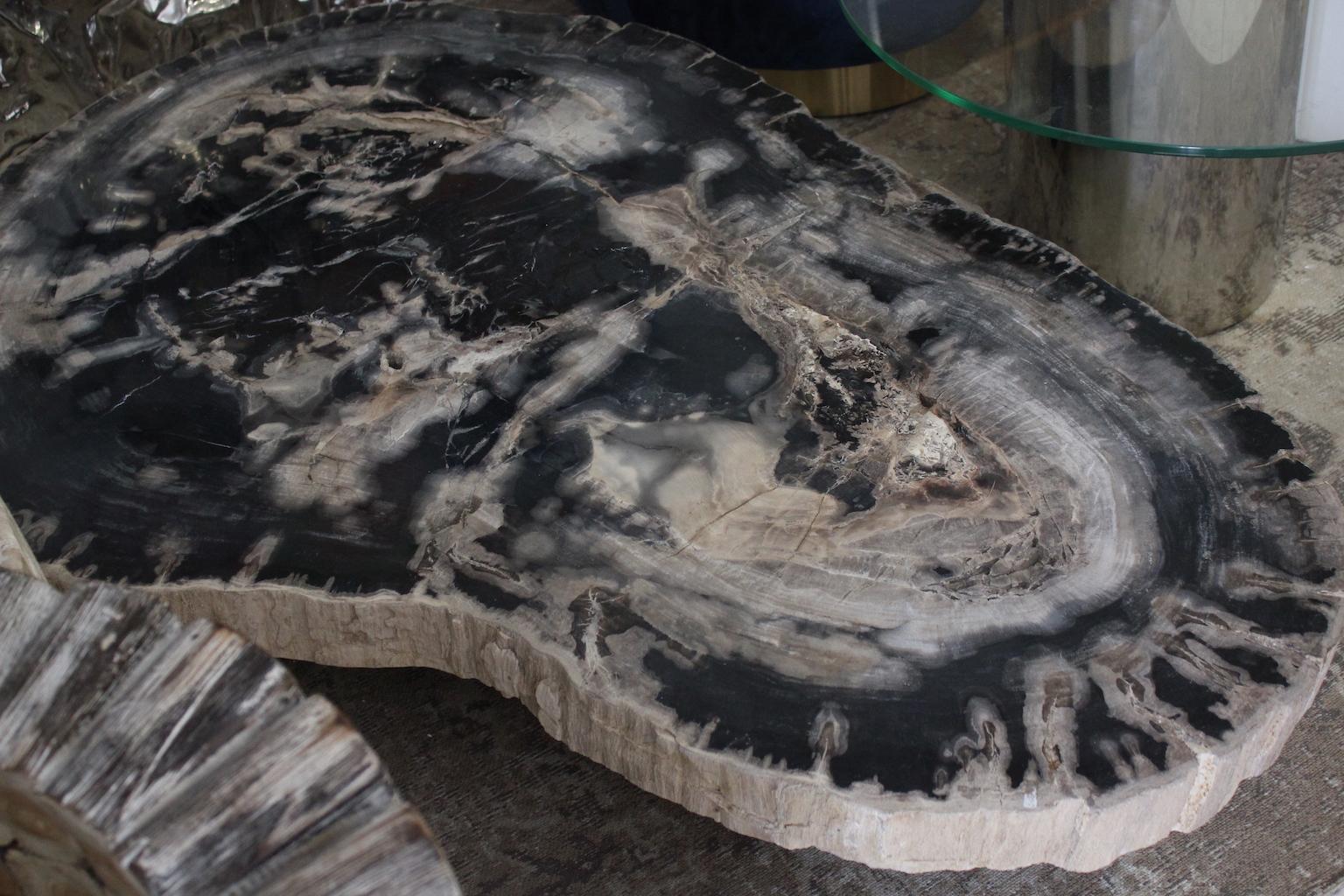 Large Petrified Wood Coffee Table For Sale 4