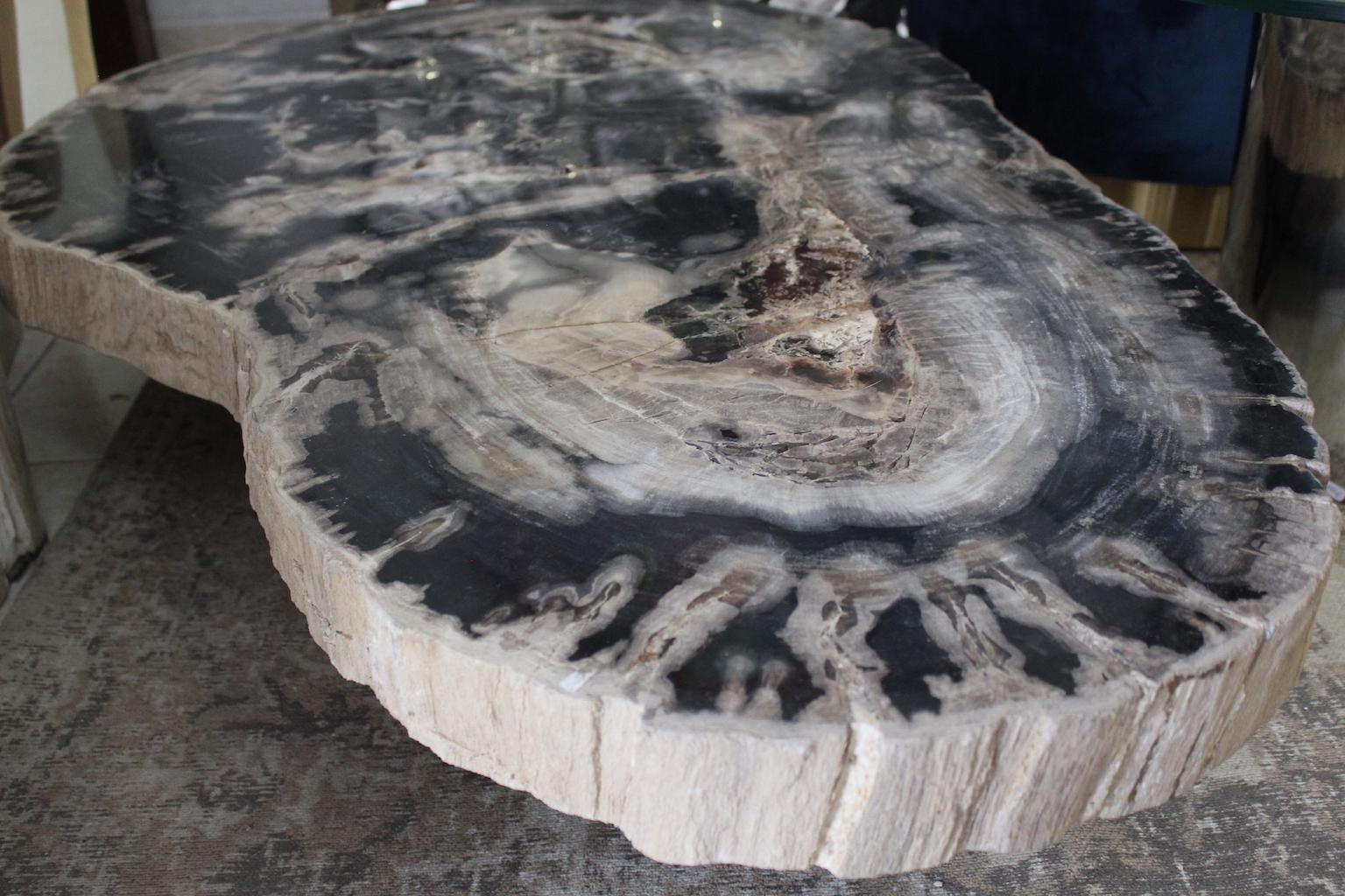 Large Petrified Wood Coffee Table For Sale 5