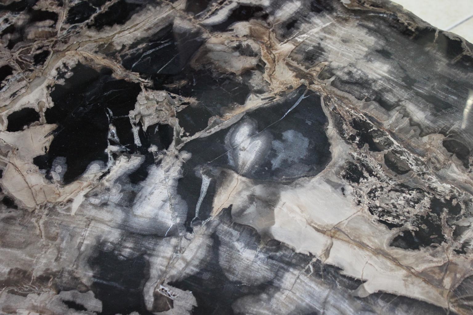 20th Century Large Petrified Wood Coffee Table For Sale