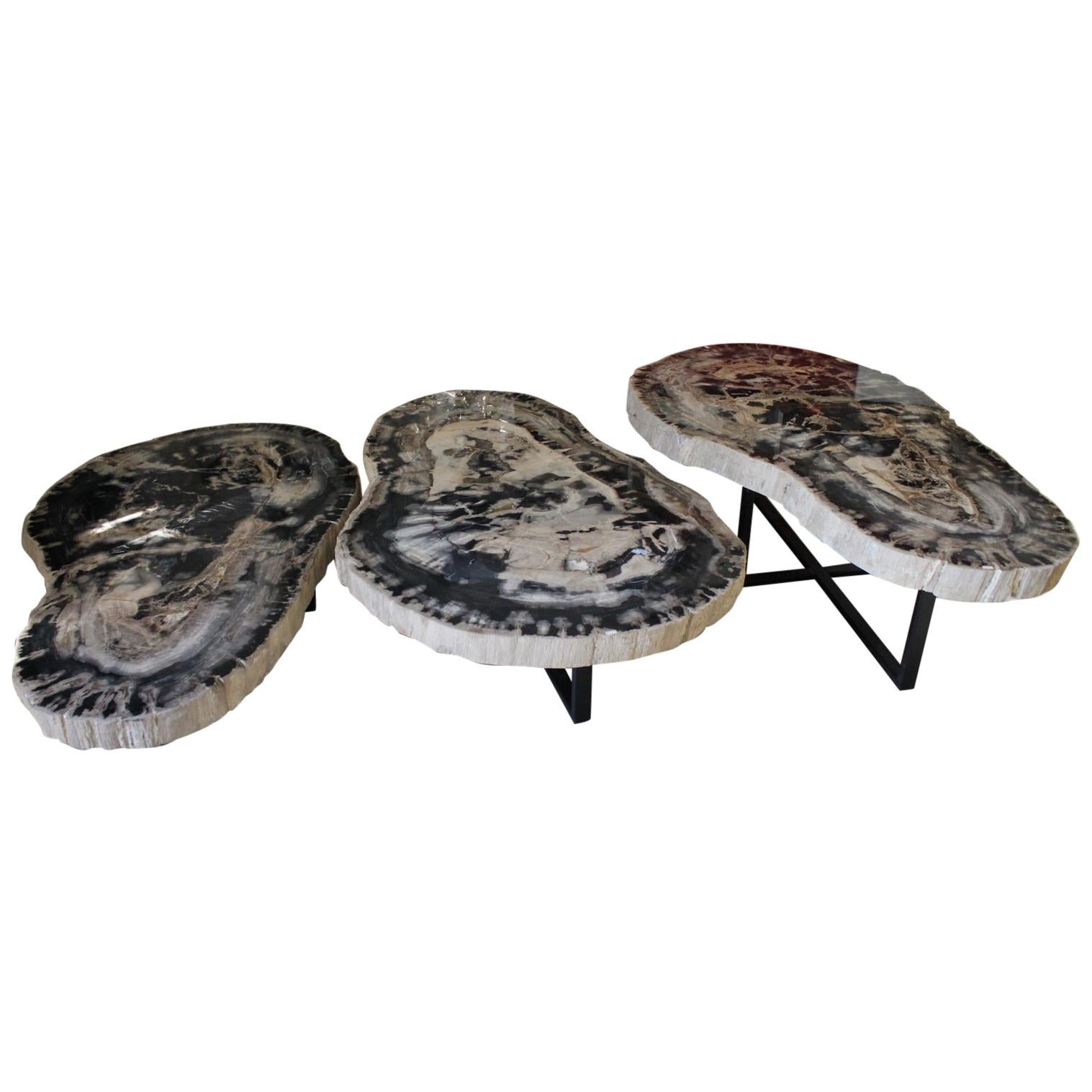 Large Petrified Wood Coffee Table For Sale