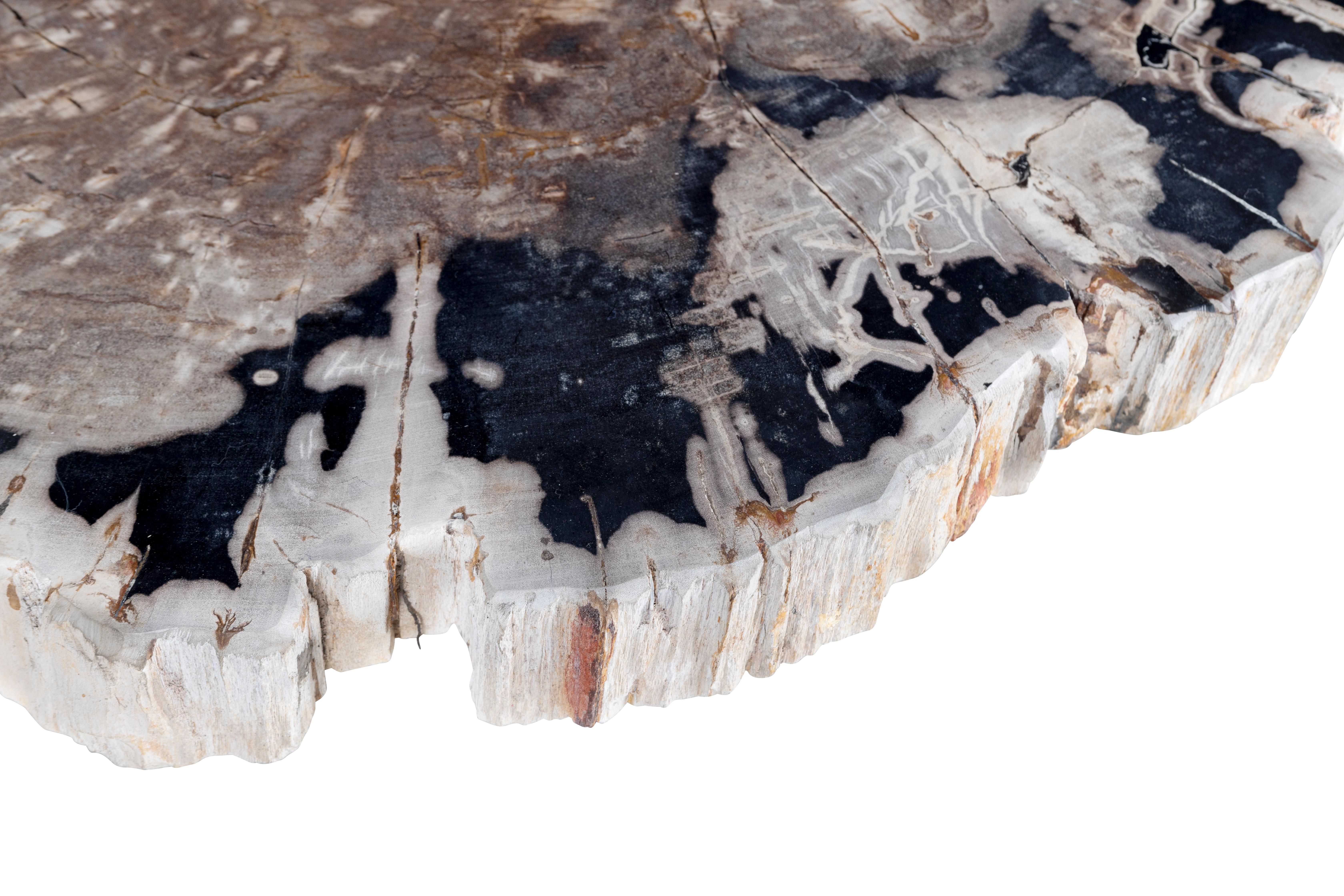 petrified wood coffee tables