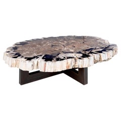 Tavolino grande in Wood pietrificato su base in acciaio ebanizzato