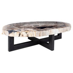 Large Petrified Wood Coffee Table on Ebonized Steel Base