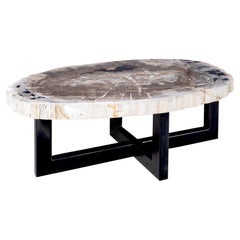 Large Petrified Wood Coffee Table on Ebonized Steel Base