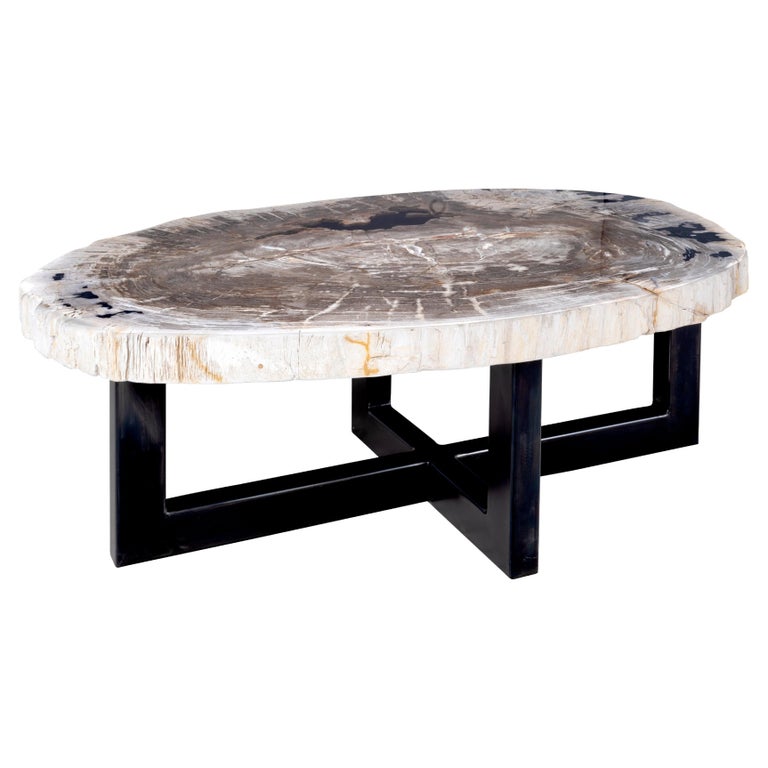 Large Petrified Wood Coffee Table on Ebonized Steel Base at 1stDibs