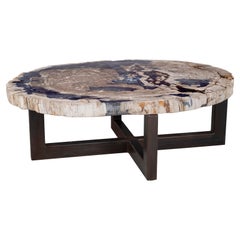 Large Petrified Wood Coffee Table on Ebonized Steel Base