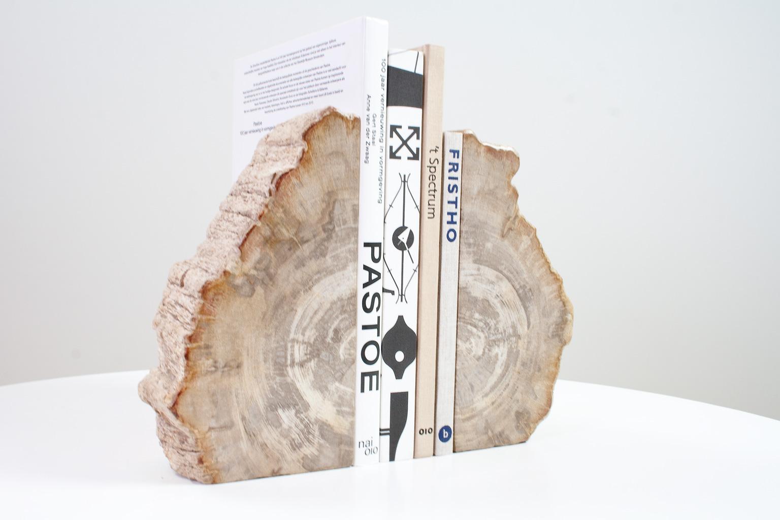 Large and heavy petrified wooden bookends, beautiful as a home accessory. Smooth sanded and polished on both sides. The contrasting charcoal grey and beige tones paired with the scale make this a lovely and unique home accessory The object still