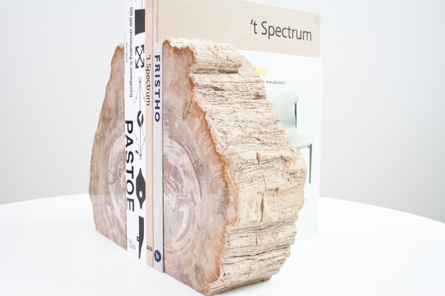 Organic Modern Large Petrified Wood Handcrafted Bookends of Organic Origin