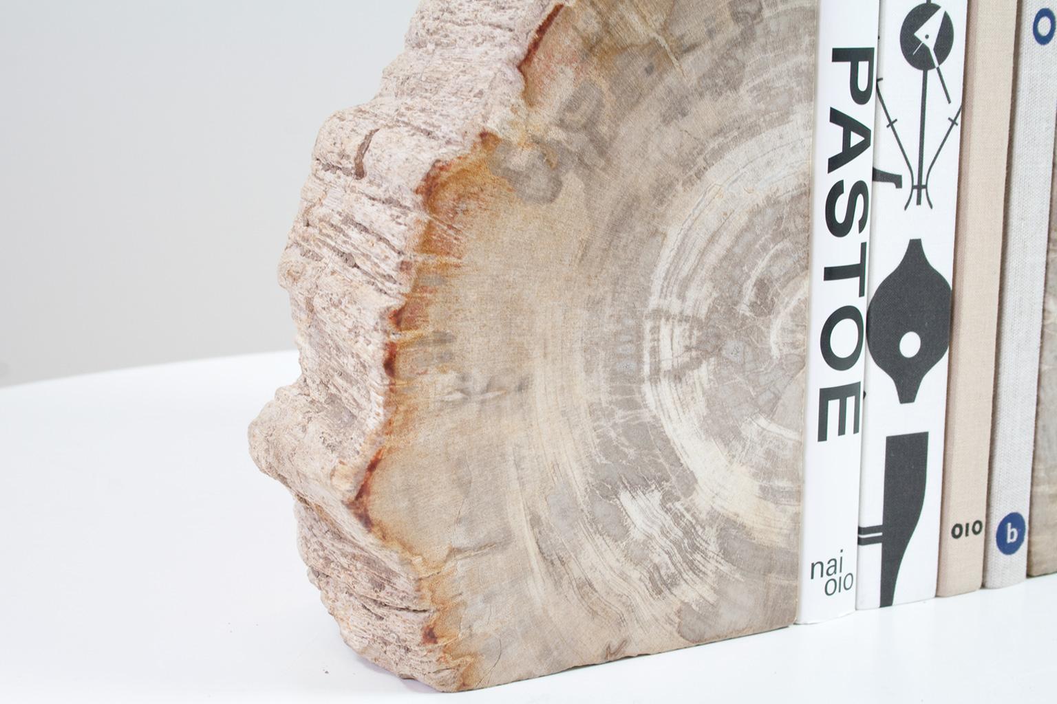 Indonesian Large Petrified Wood Handcrafted Bookends of Organic Origin