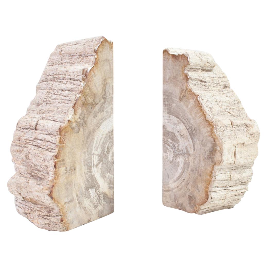 Large Petrified Wood Handcrafted Bookends of Organic Origin