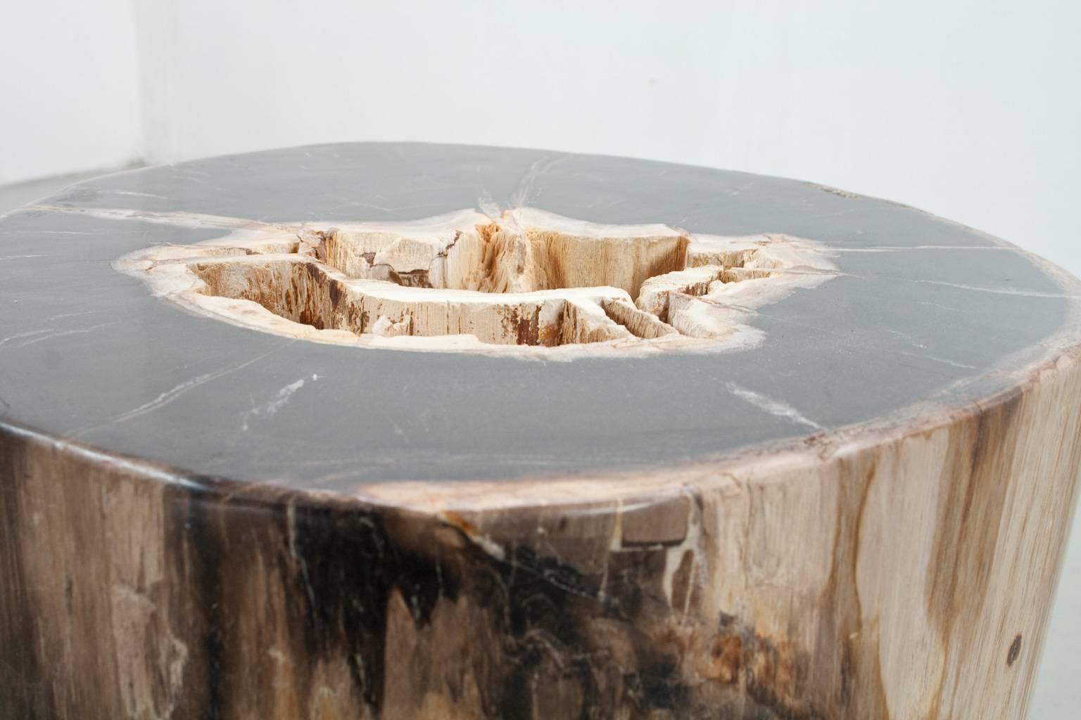 Large Petrified Wood Polished Side Table, Stool or Pedestal, Organic Modern In Excellent Condition In Beek en Donk, NL